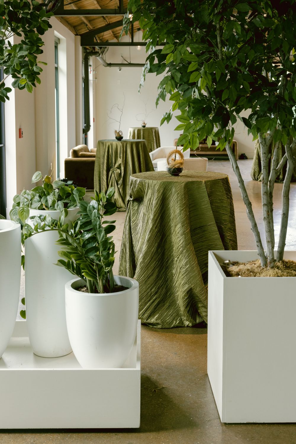 Modern interior with green tablecloths and white planters containing lush indoor plants.