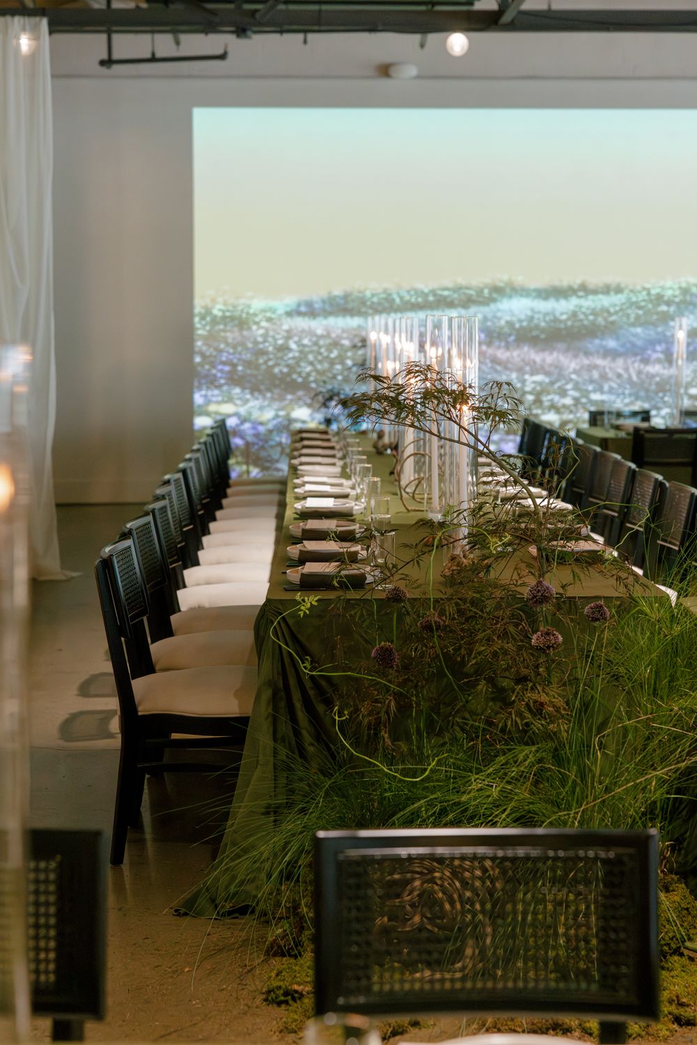 Modern event space with rows of dark chairs and natural plant installations.