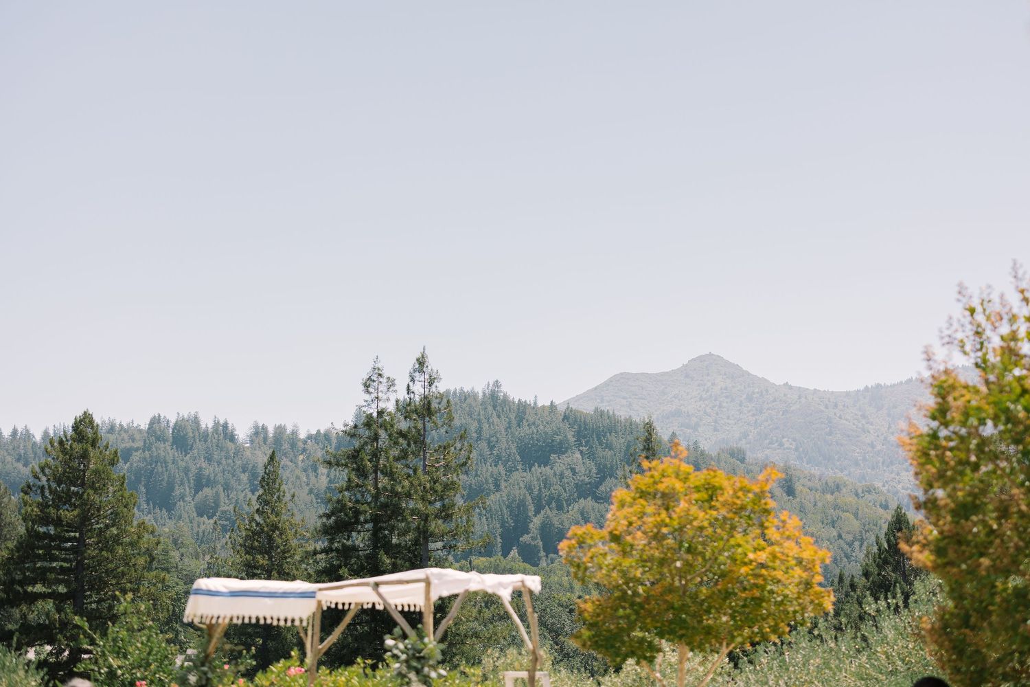 Geneva Terrace wedding altar set against Marin County’s rolling hills and evergreens, with golden autumn trees in view.