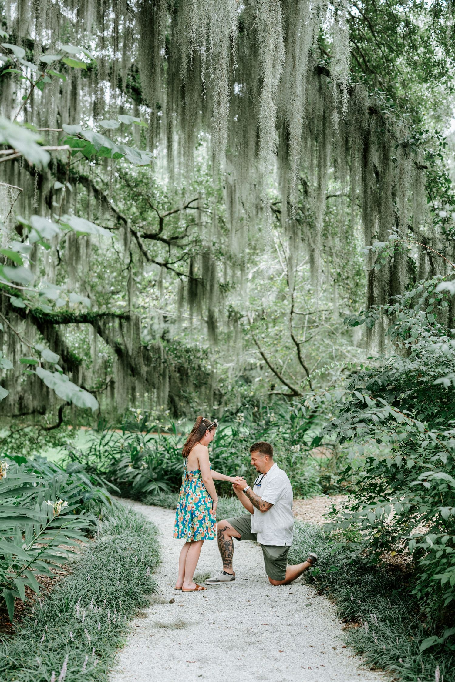 A couple's outdoor engagement moment captured on a path beneath Spanish moss draped trees.