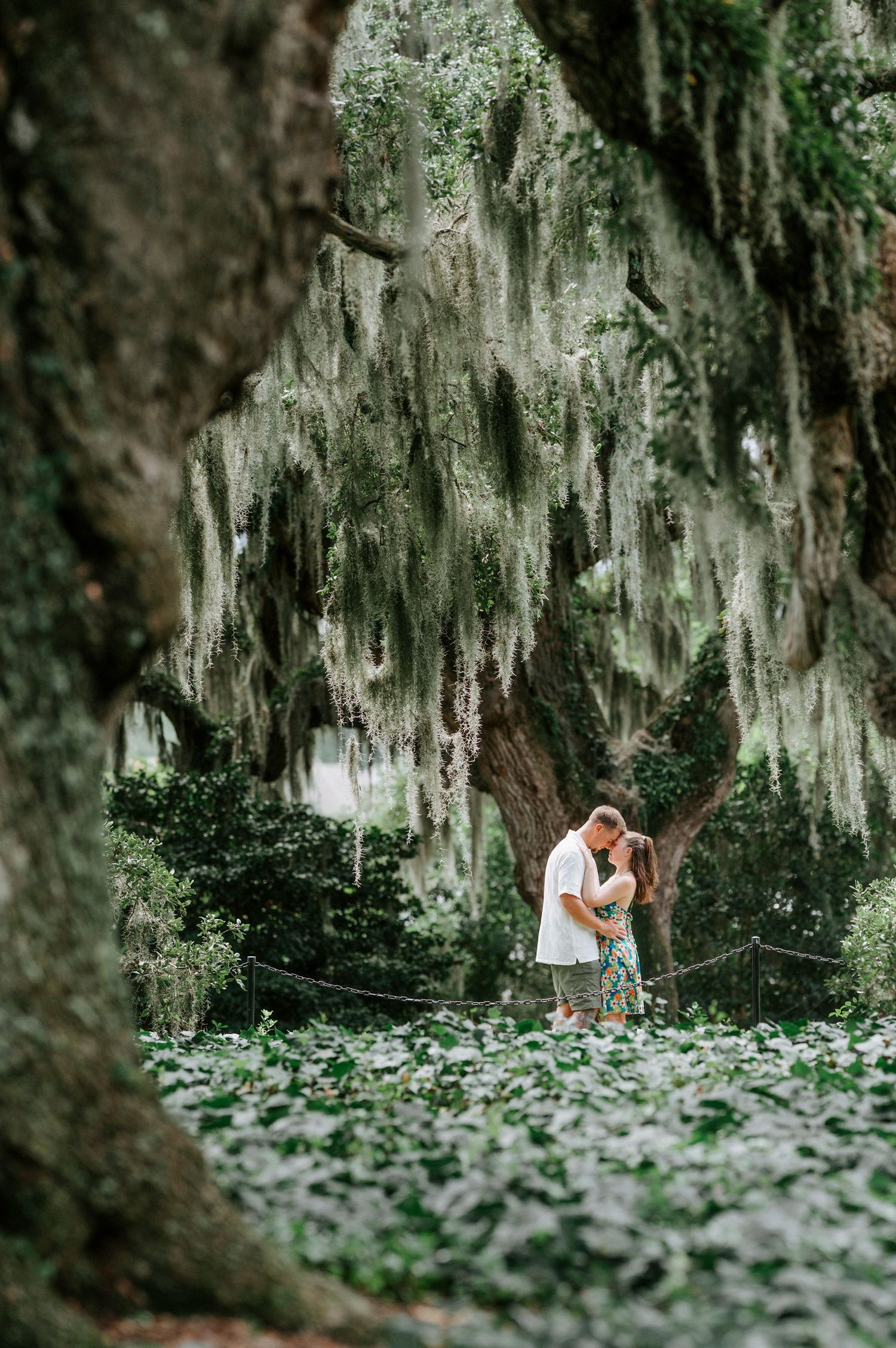 Spanish moss drapes over a romantic garden path where a couple embraces.
