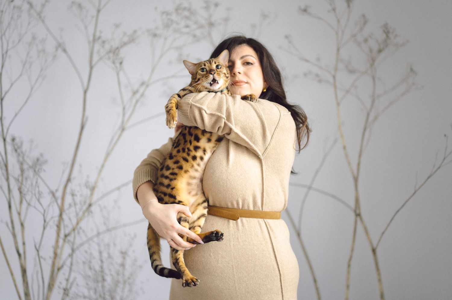 A collection of four photos showing a pregnant woman in a white dress holding and interacting with a Bengal cat.