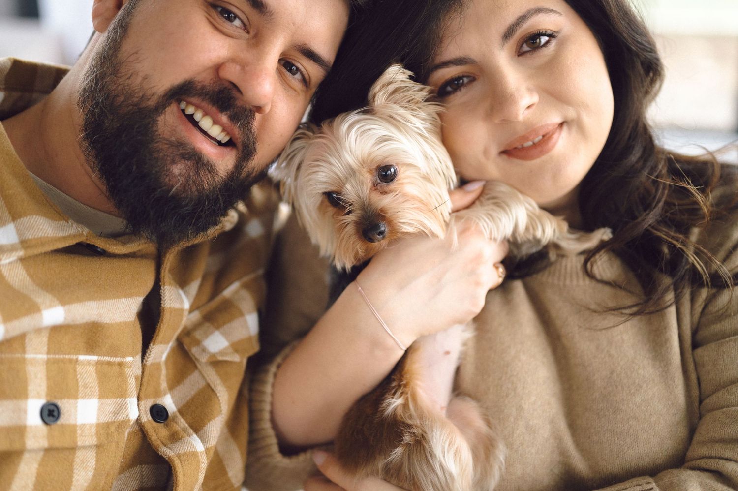 Five connected photos show loving moments between people and their small Yorkshire Terrier dog.