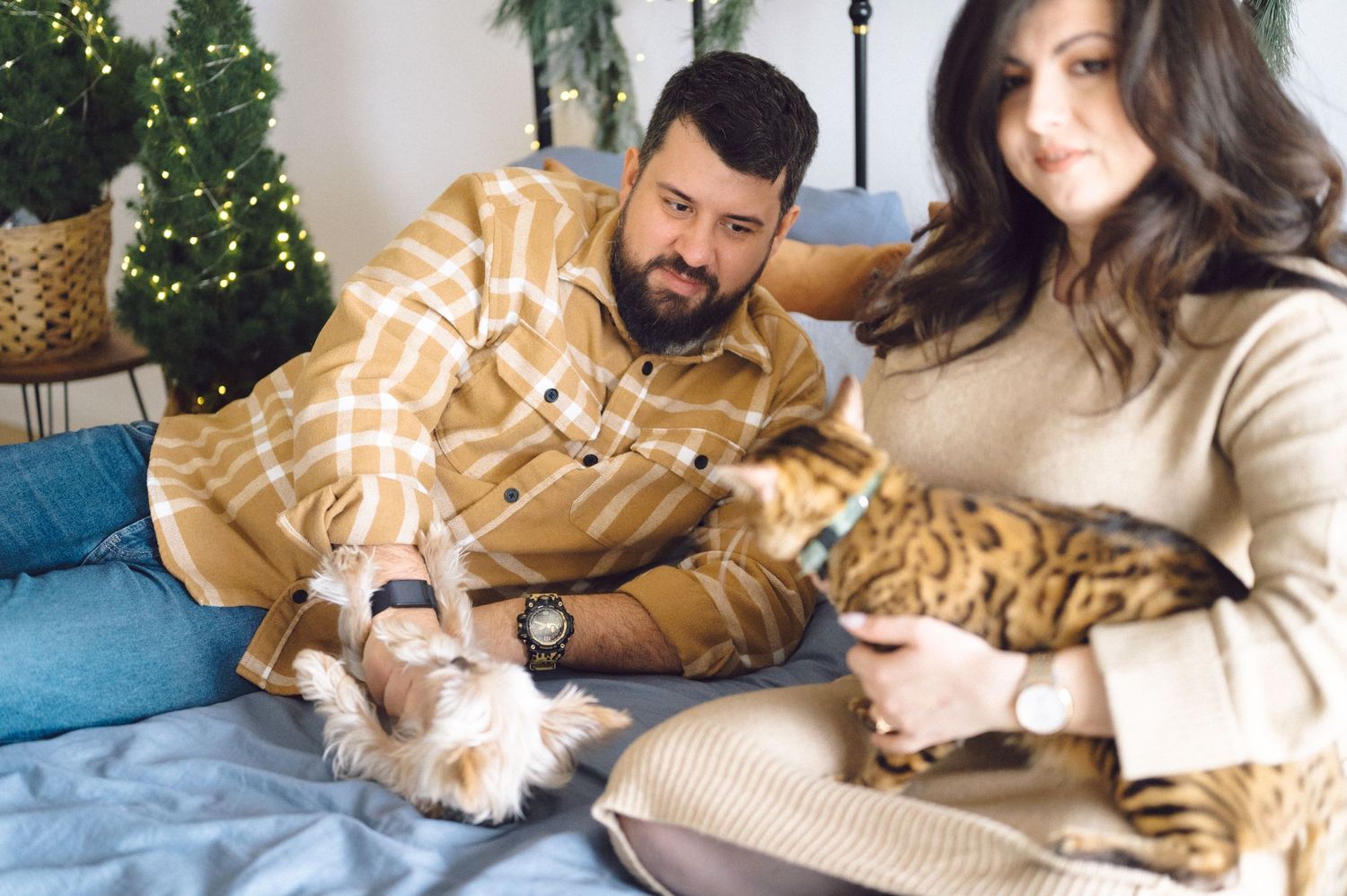 Couple relaxing on couch with Bengal cat and small dog during holiday season with Christmas tree visible in background.