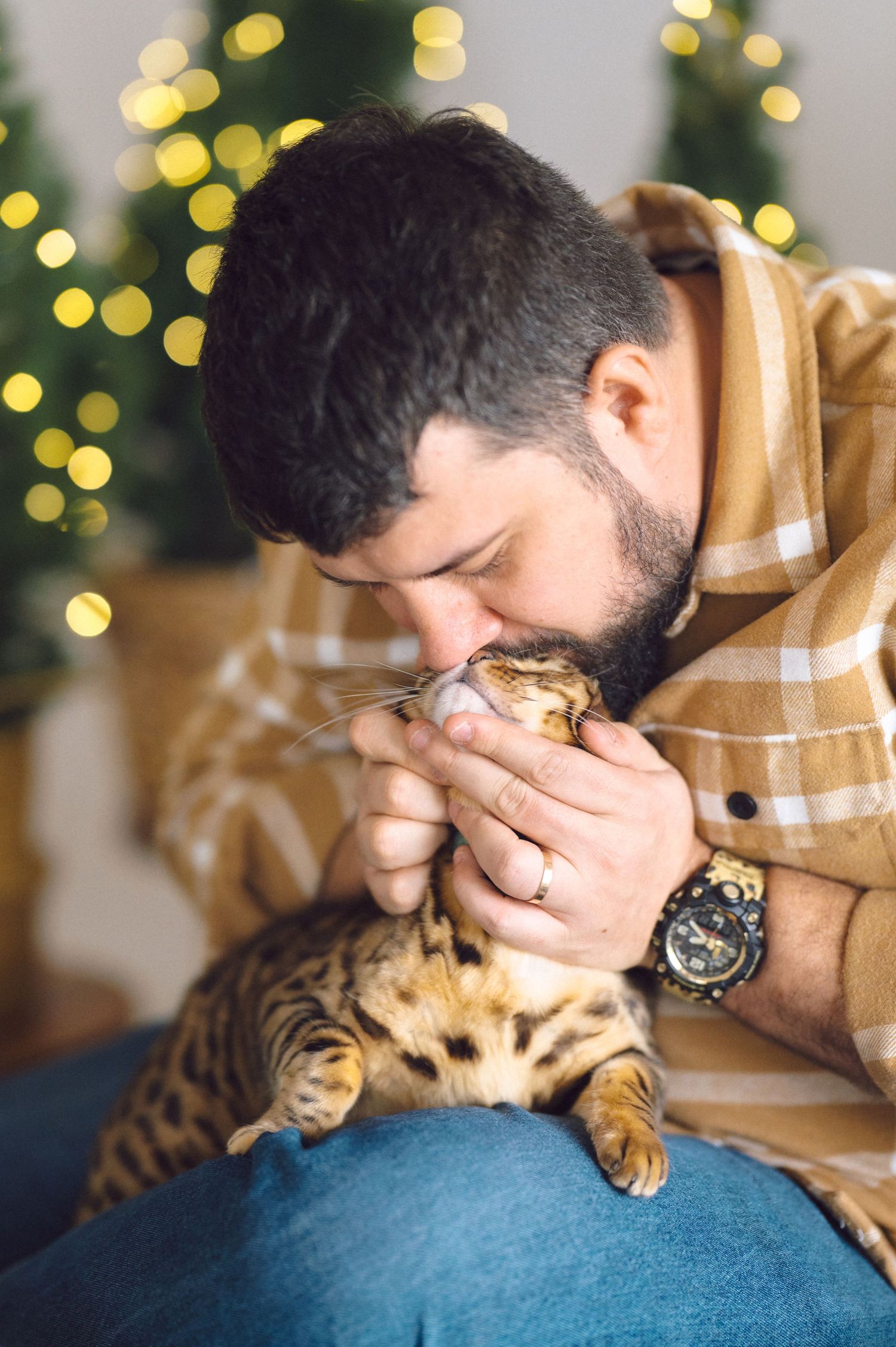 Person in plaid shirt gives affectionate attention to Bengal cat while Christmas lights twinkle in background.