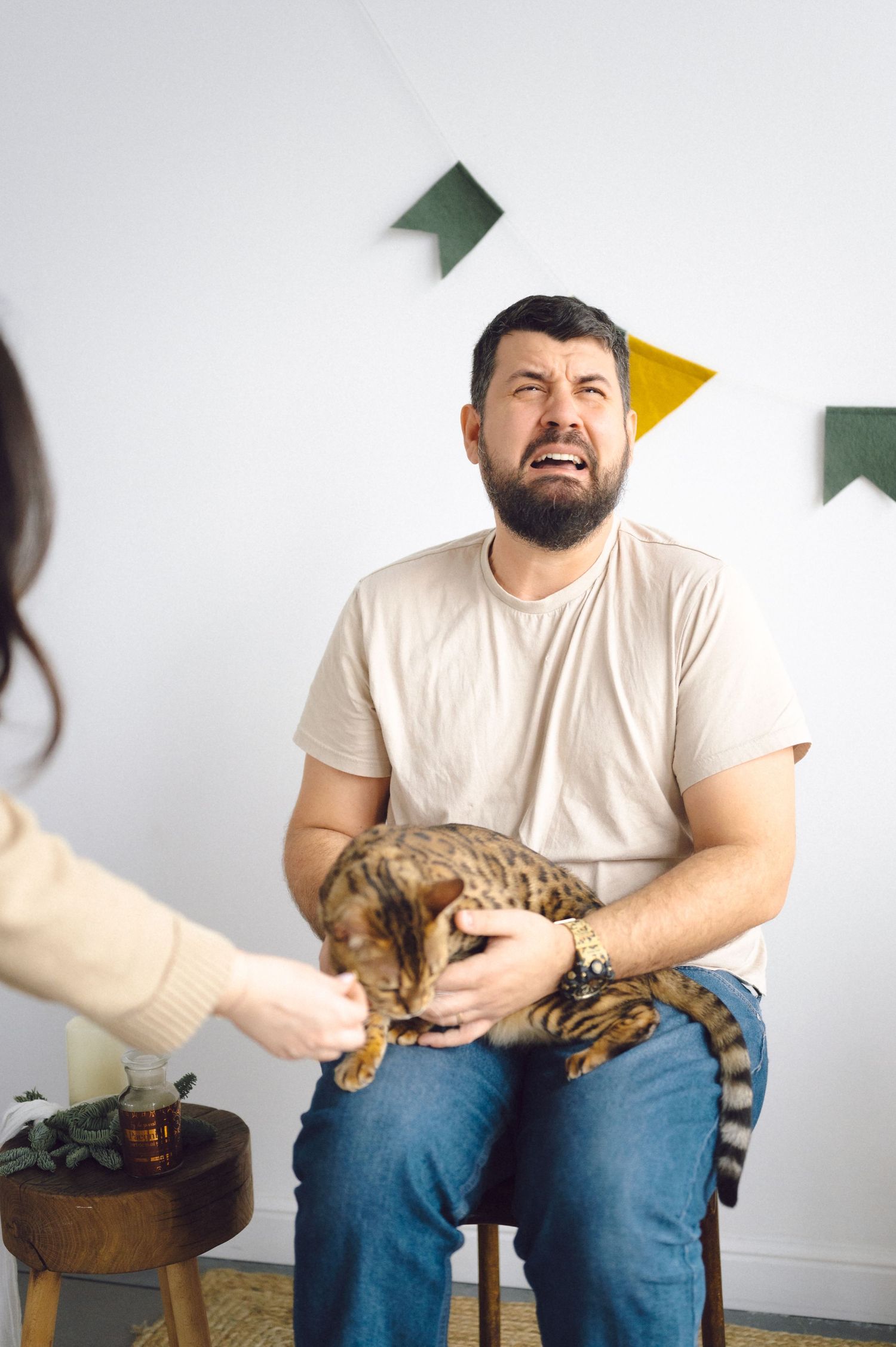 A bearded person in a white t-shirt and jeans holds a striped cat while sitting, with colorful flags hanging on the wall.