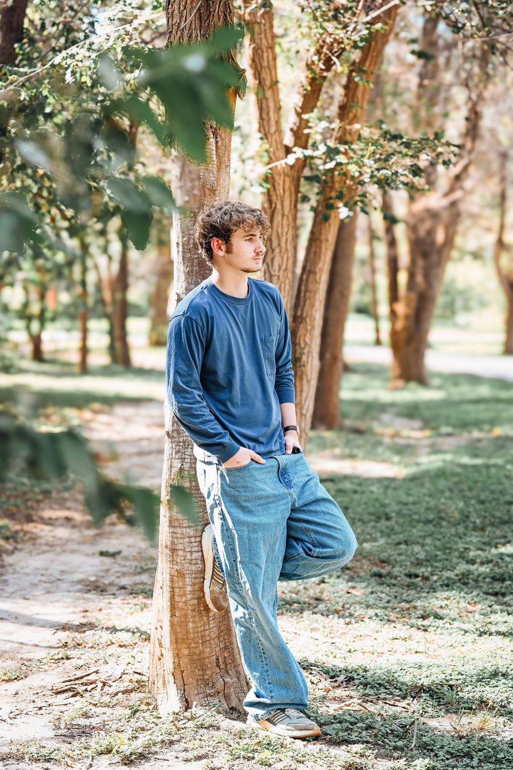 Young man in blue sweater and jeans leaning against a tree in a sunlit park, looking thoughtfully to the side.