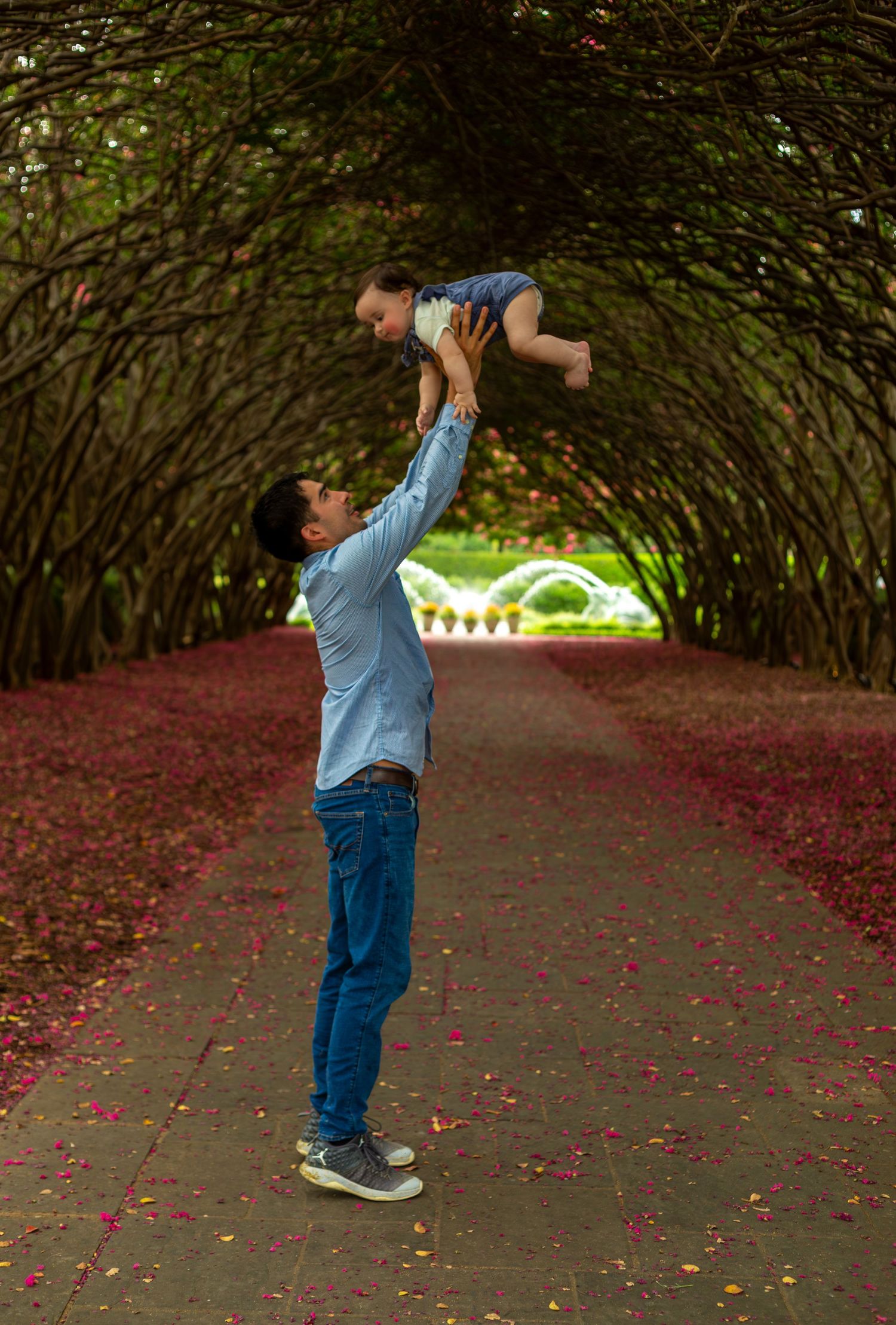 A father joyfully tosses his baby into the air along a scenic tree-lined pathway covered in pink petals.