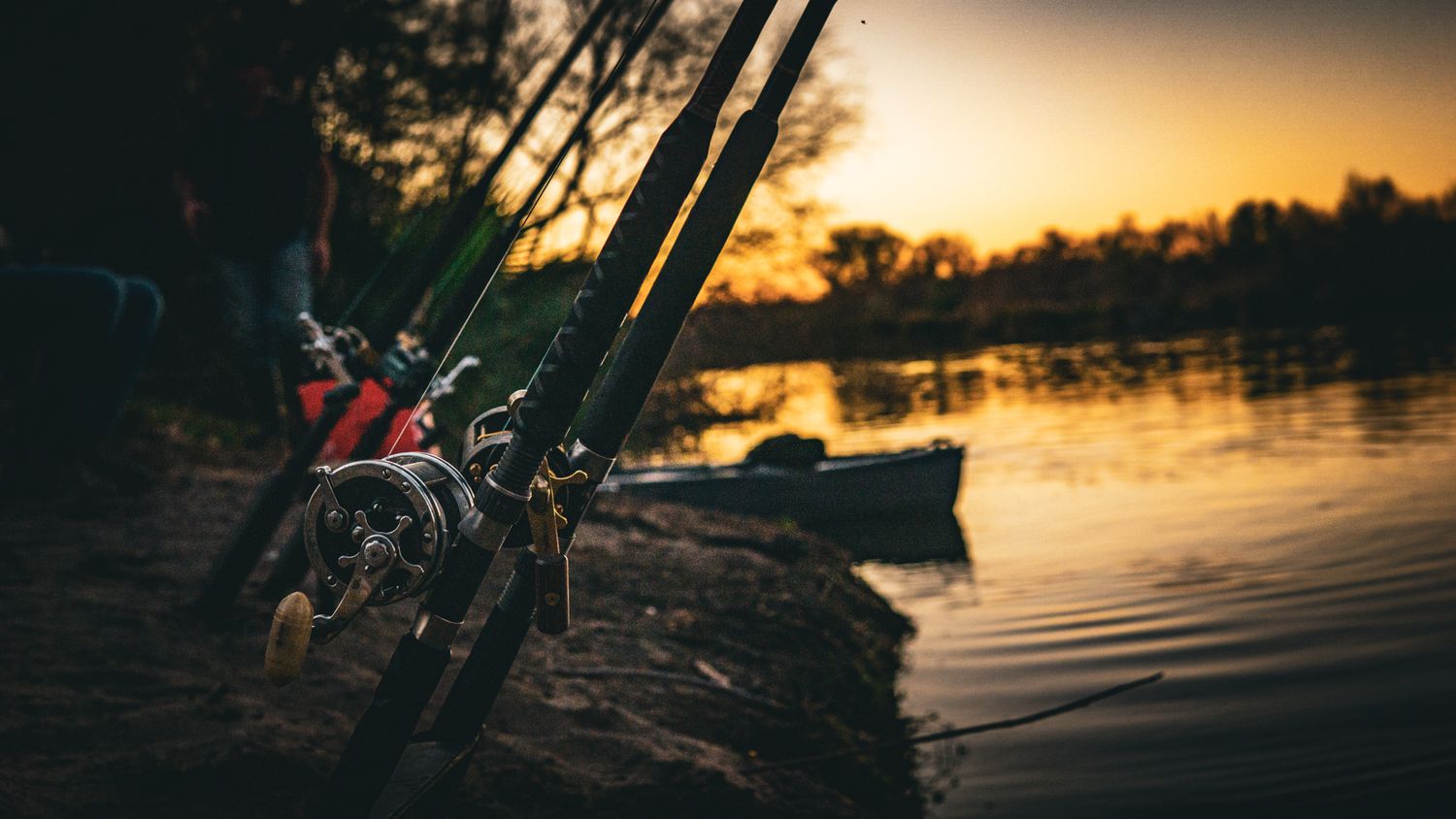 Fishing rods with reels propped on a riverbank at golden sunset, with a boat and trees silhouetted in the background.