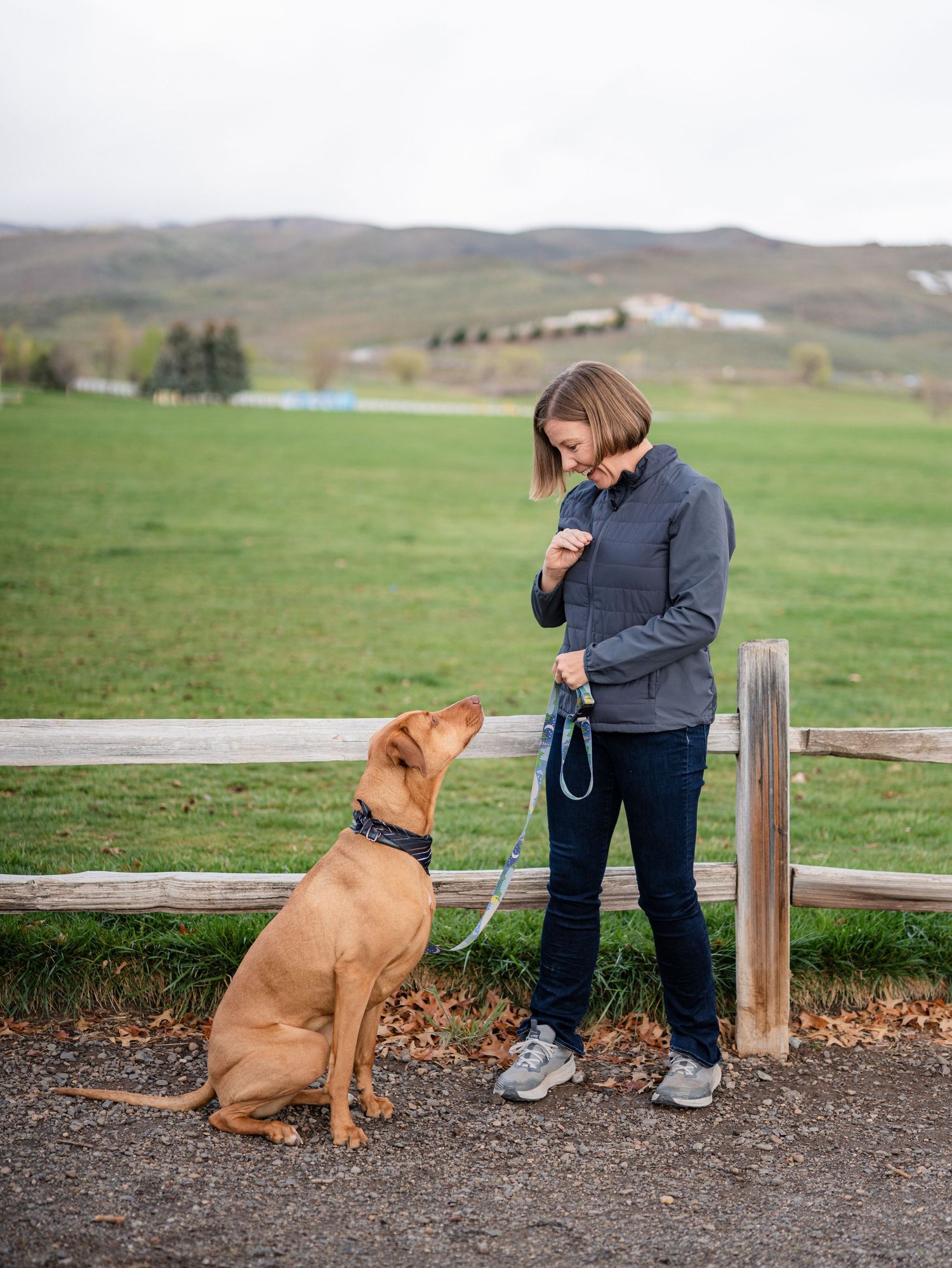 Woman training a brown Vizsla dog on a leash outdoors near a wooden fence with green fields and hills in background.