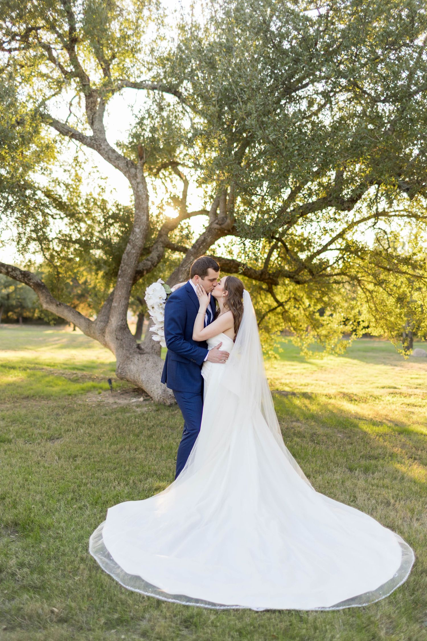 Bride and groom sharing a romantic kiss under a large oak tree, with her flowing white cathedral veil spread across the green lawn.
