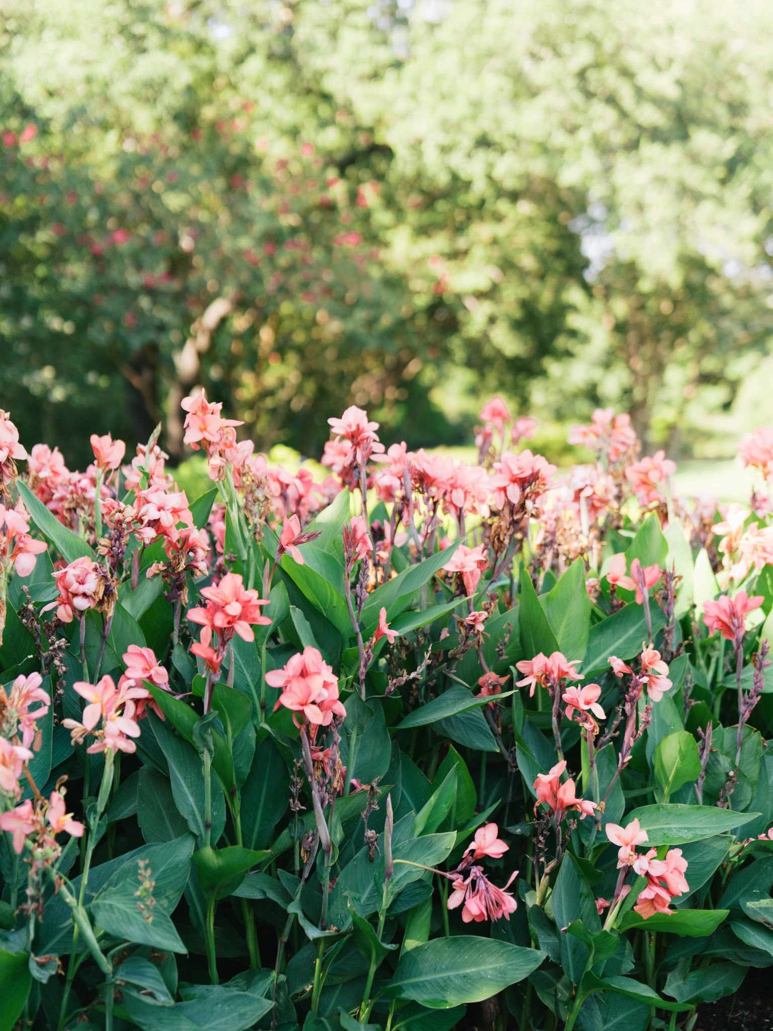 Katelynn Davis Media - Texas Wedding Photographer
