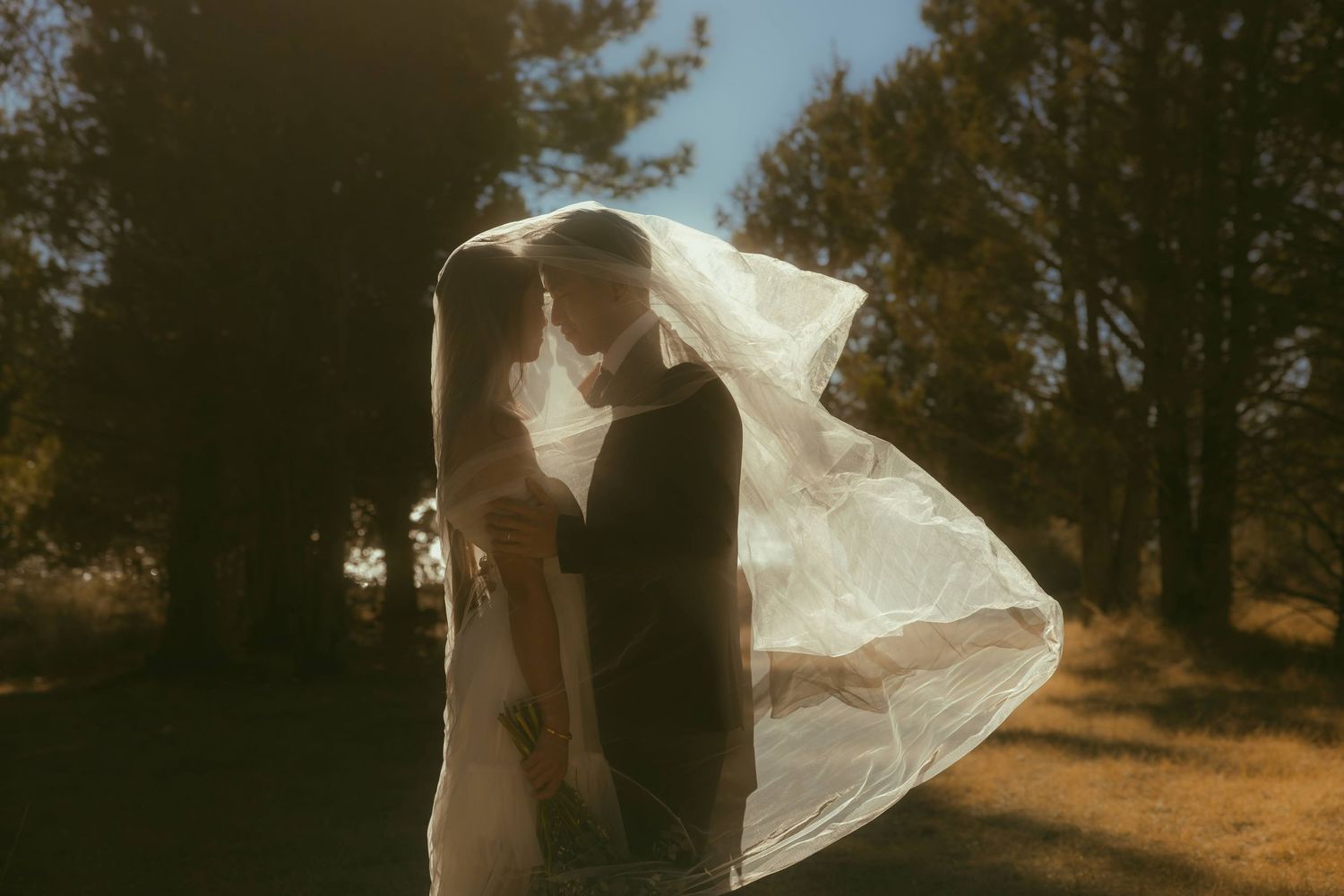 Bride and groom sharing romantic kiss under flowing veil in golden sunlight among pine trees.