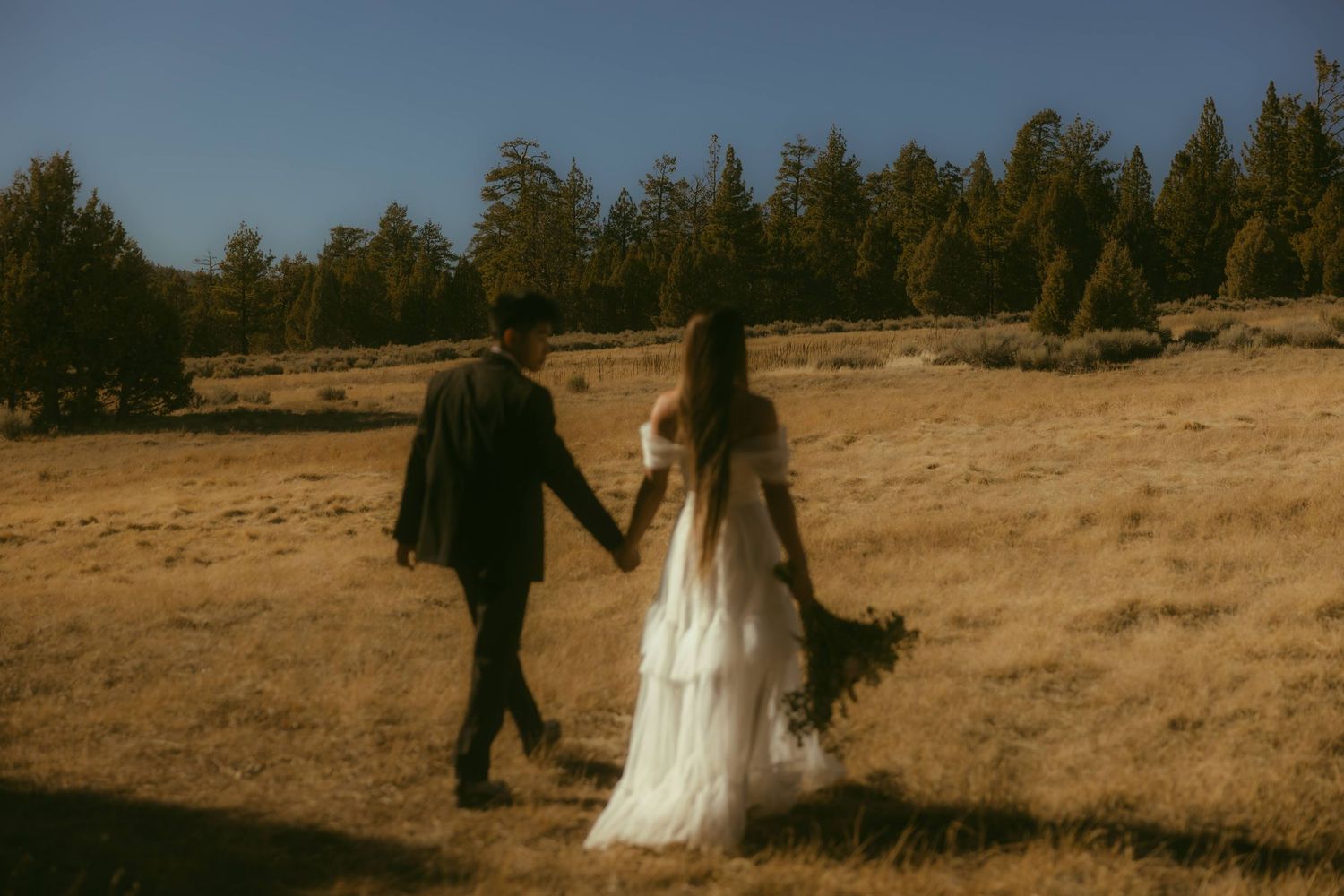 A bride and groom walk hand in hand through a golden meadow with pine trees showing an example of cinematic storytelling photography.