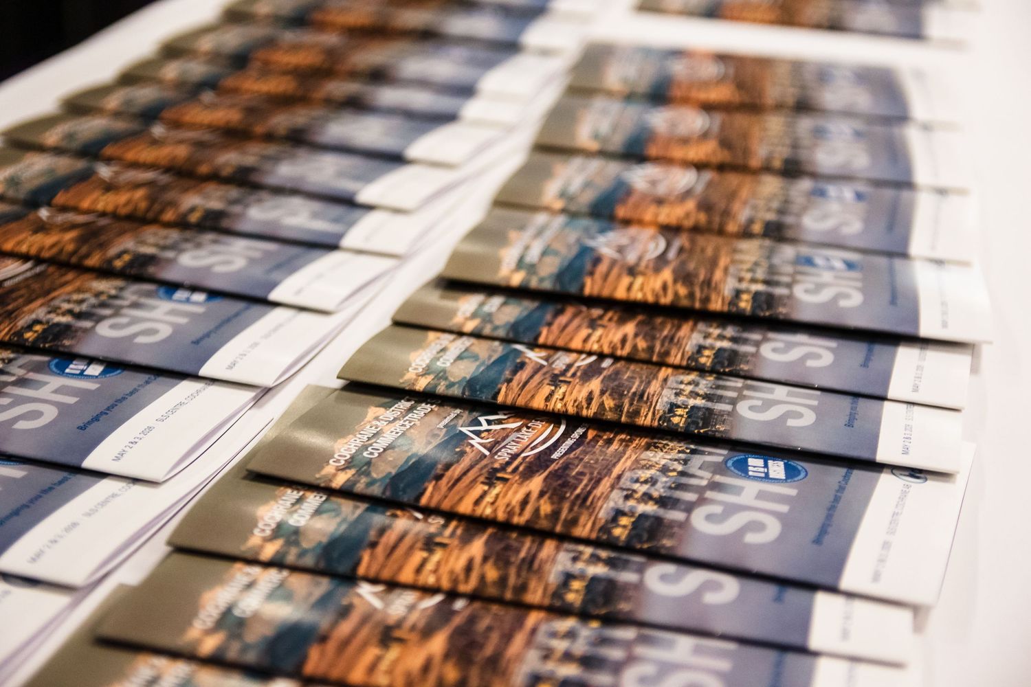 Rows of printed brochures featuring canyon landscape photography on a display table.