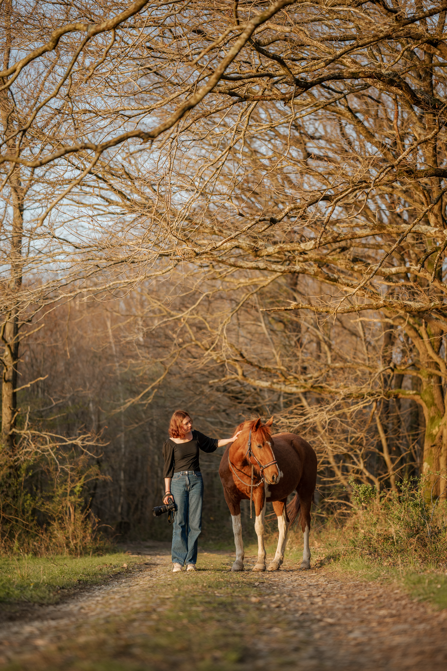 Photo d'une femme et son cheval