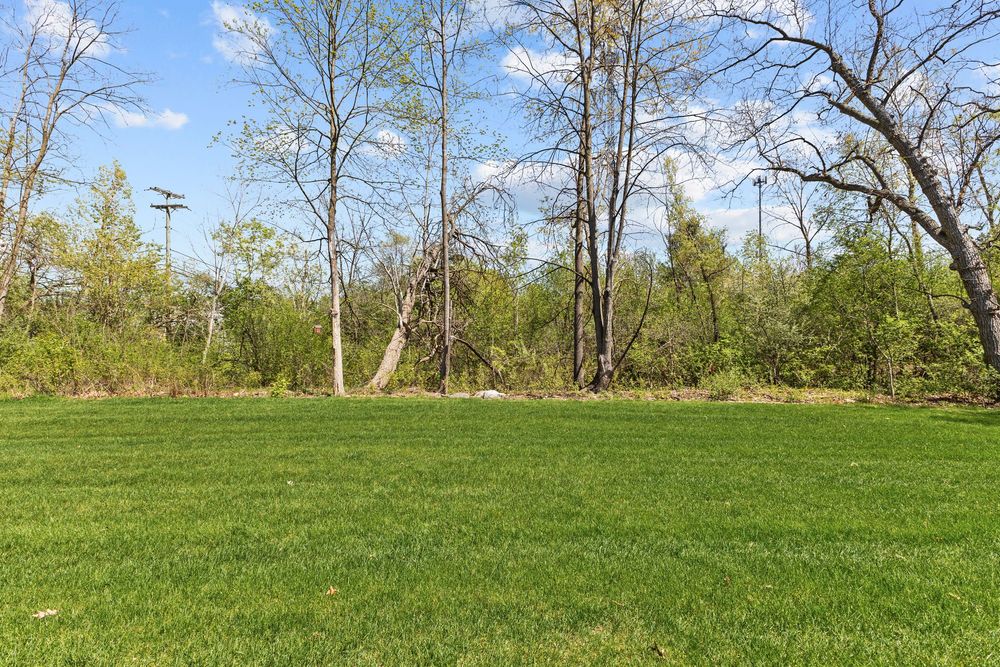 Lush green lawn with tall trees and natural wooded area backdrop under blue sky.