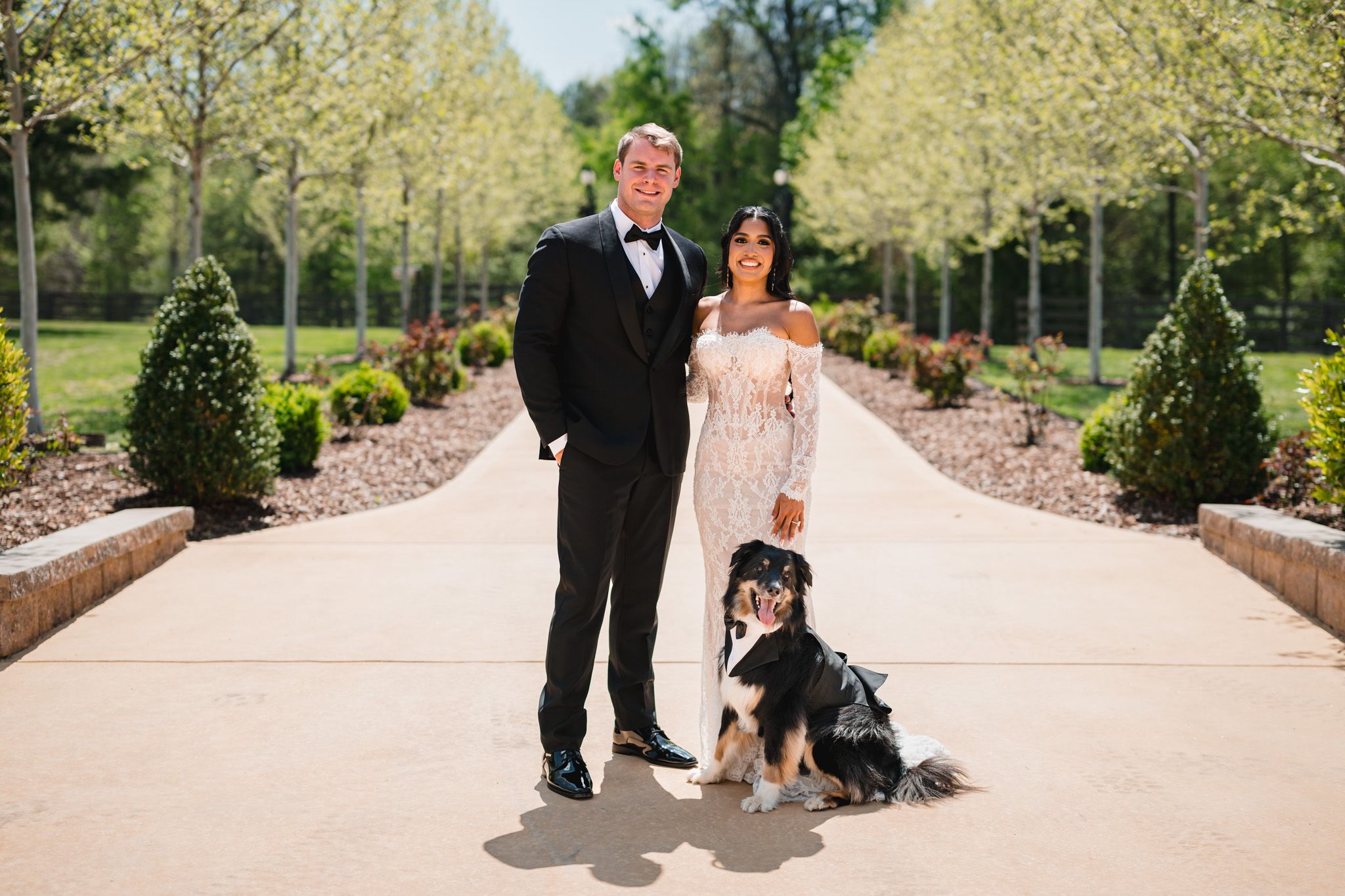 Wedding couple in formal attire pose with their dressed dog on a tree-lined venue pathway.