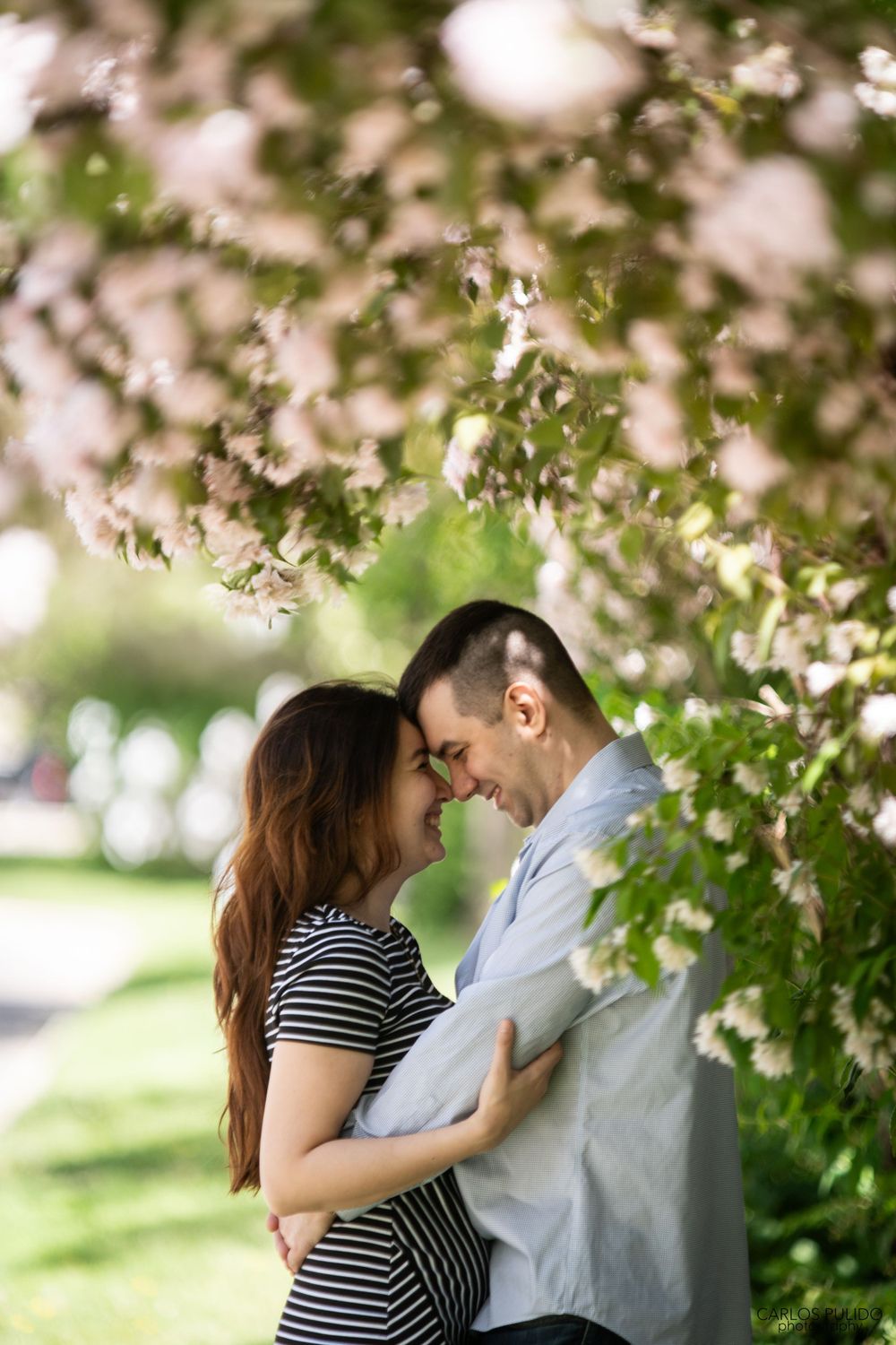 Wedding photography at McMaster University, Hamilton — timeless love captured by Toronto & Hamilton wedding photographers.