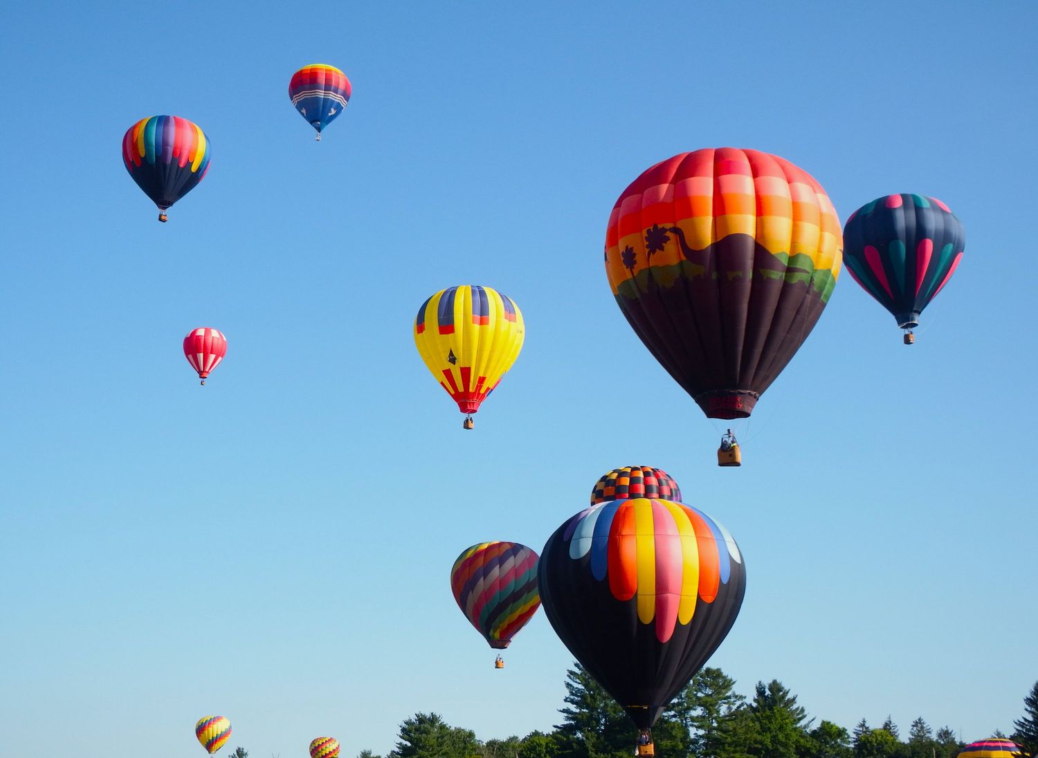 Colorful hot air balloons float against a bright blue sky during a balloon festival.