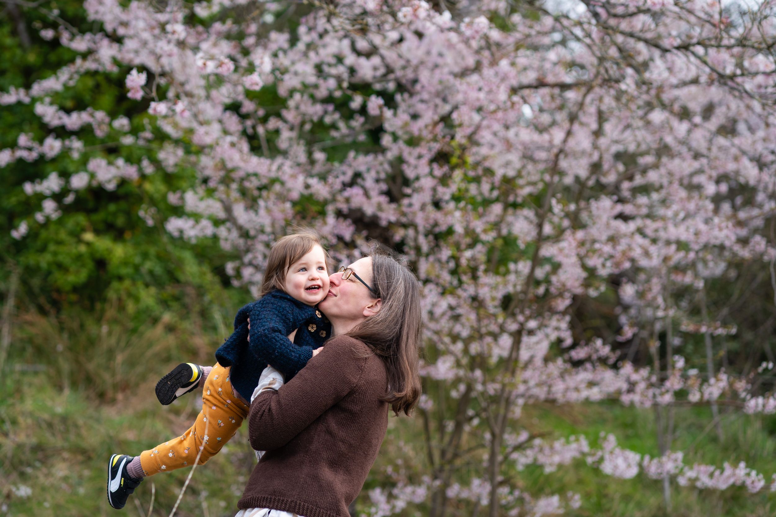 Mom kissing child amongst backdrop of cherry blossom trees in Seattle.