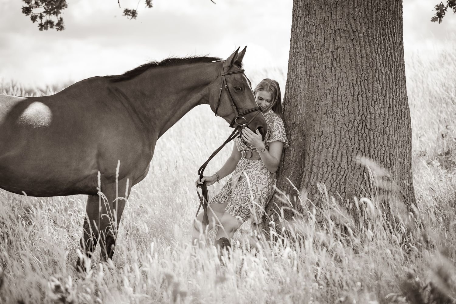 A chestnut horse and companion share a tender moment in a meadow filled with yellow wildflowers at golden hour.