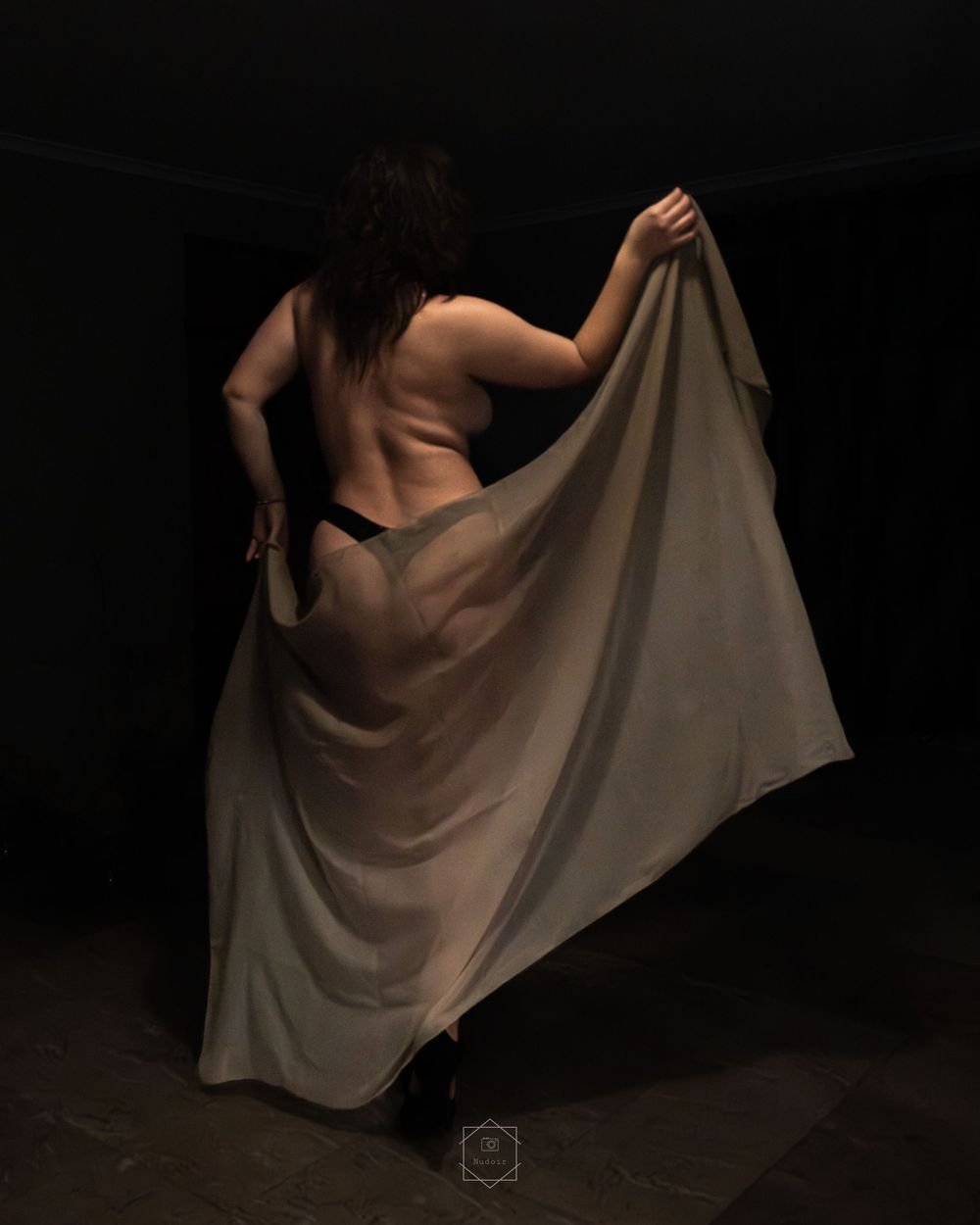 A woman poses dramatically from behind, holding a sheer fabric wrap in a dark, moody studio setting.