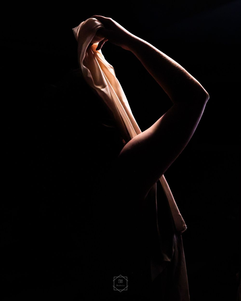 A dancer in dramatic low-key lighting holds fabric overhead, creating an elegant silhouette against a dark background.