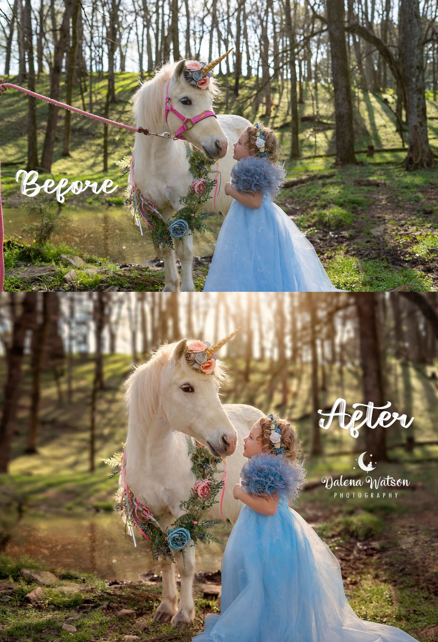 Photo by Lena Watson Photography in Spring Hill, TN. Family, children, senior and dog photo sessions in Middle TN.