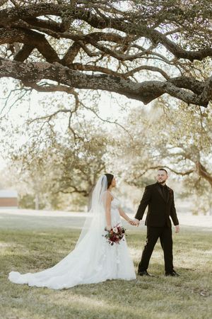 Bride and groom holding hands under sweeping oak tree branches on their wedding day.