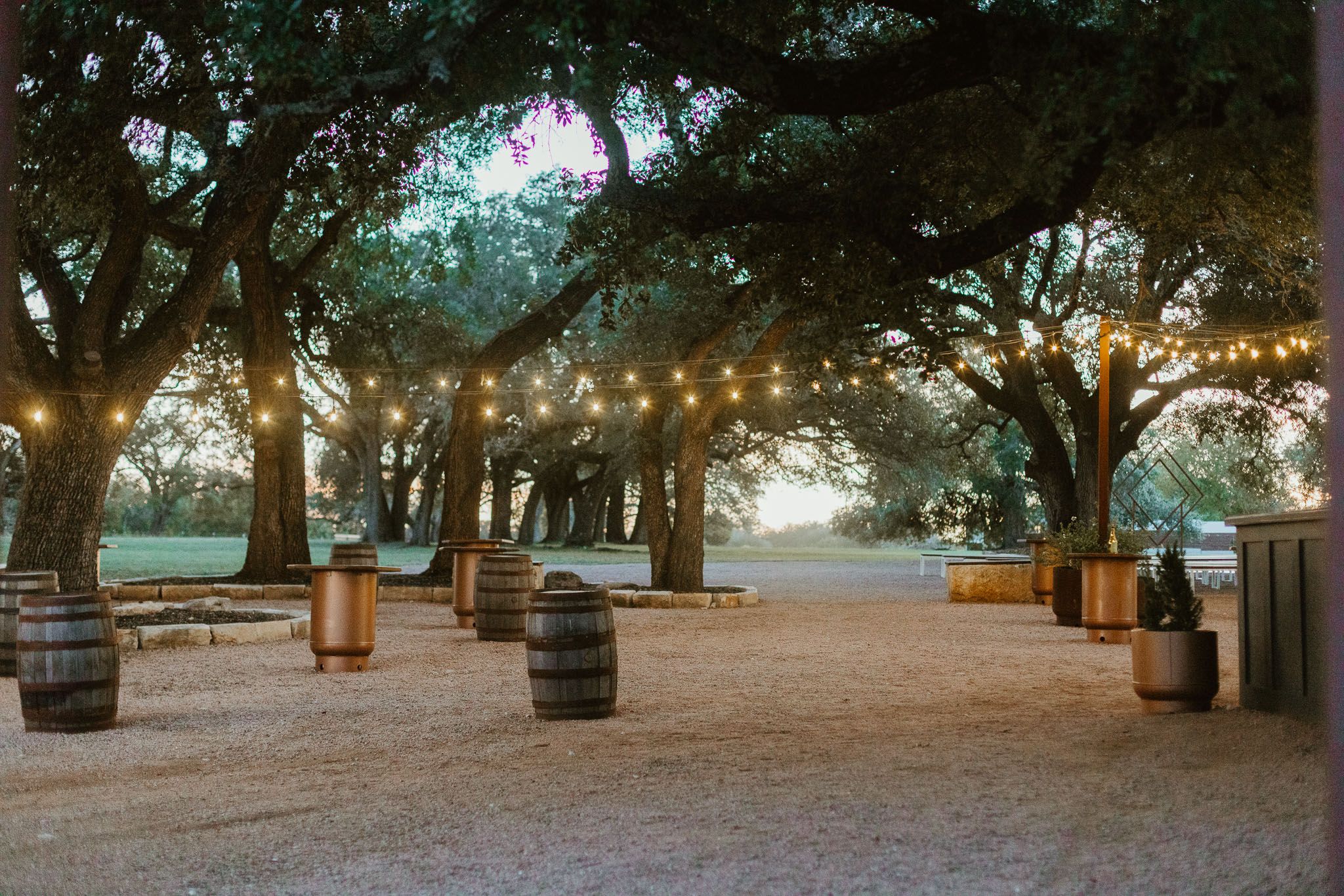 Outdoor wedding venue with string lights, oak trees, and rustic wine barrel decor.