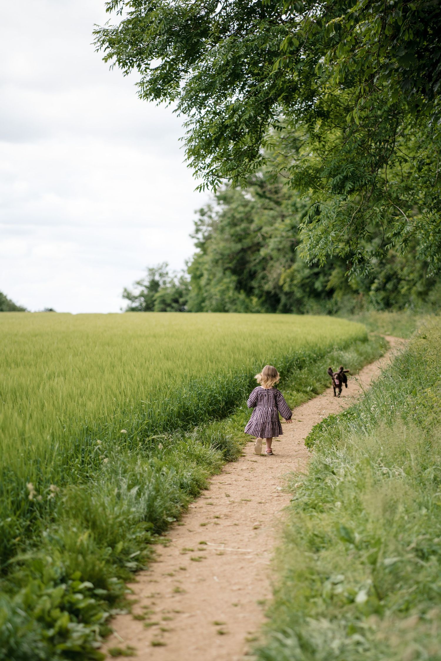 A young girl in a purple dress walks along a dirt path beside a green field with a small black dog ahead of her.