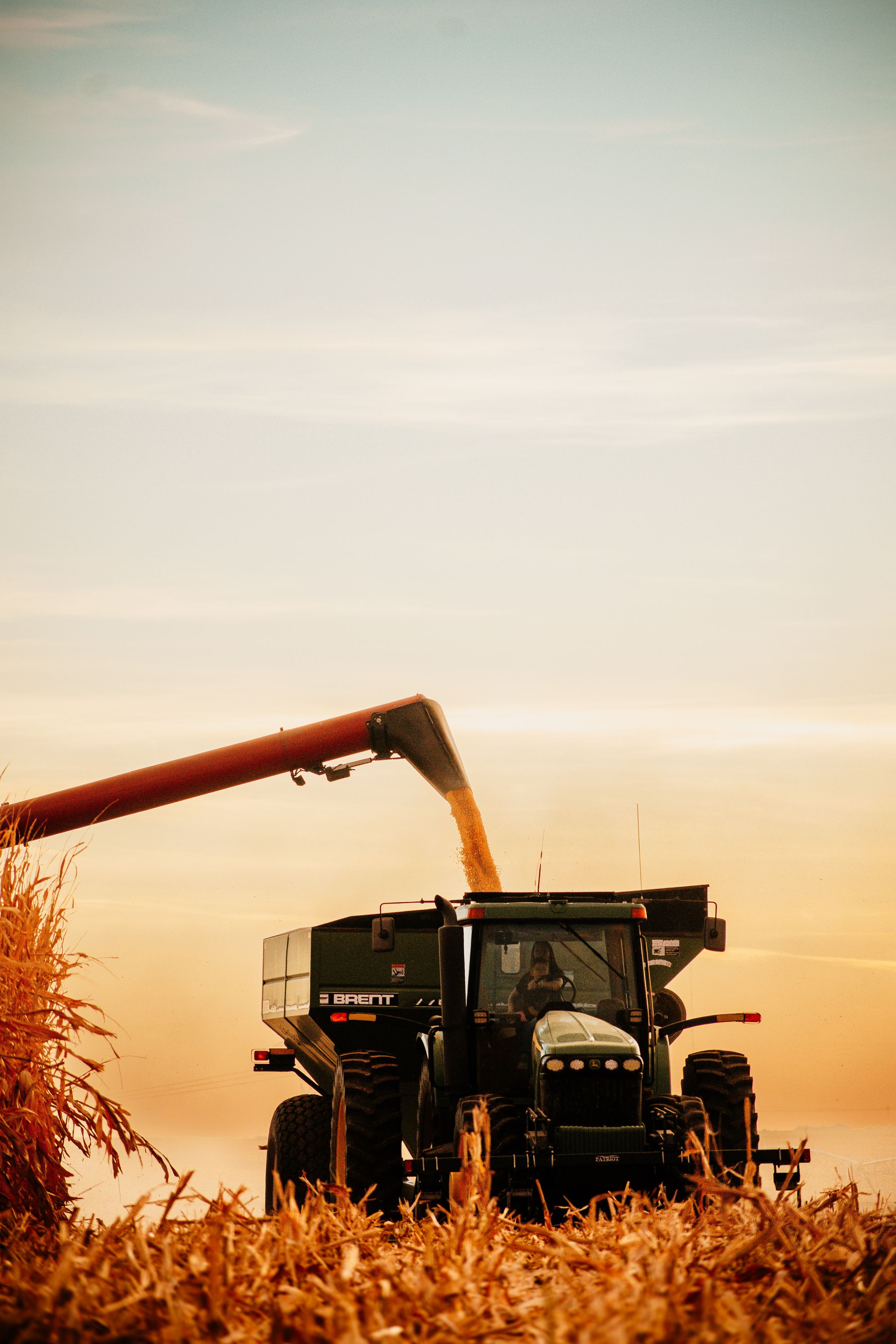 Grain harvesting machine unloading corn into trailer during sunset in agricultural field.