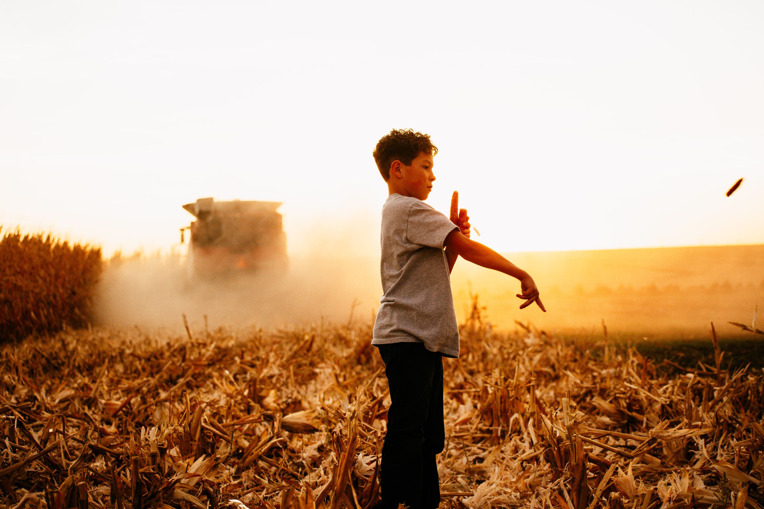 Young person stands in golden wheat field at sunset with combine harvester in background.