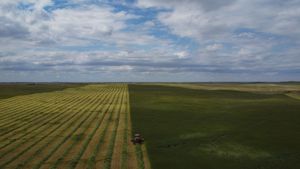 Aerial view of agricultural fields with alternating strips of crops under cloudy skies.