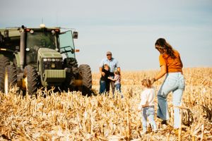 People walking through a harvested cornfield with a tractor in the background on a sunny day.