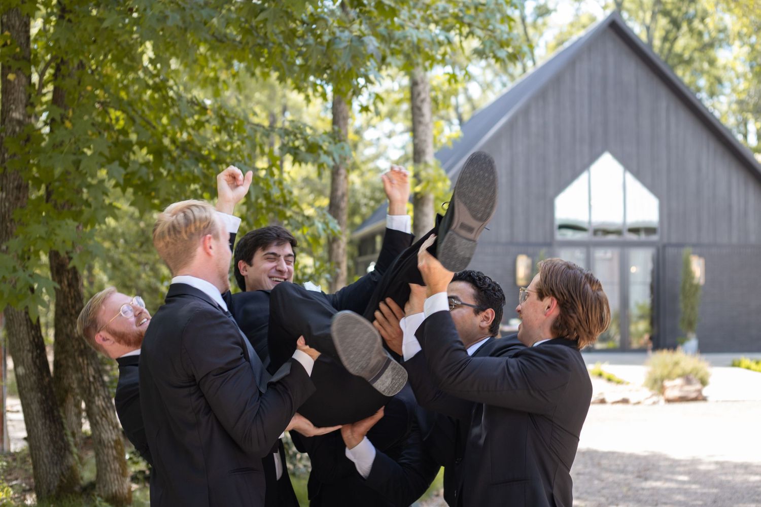 Groom being thrown in the air by his groomsmen