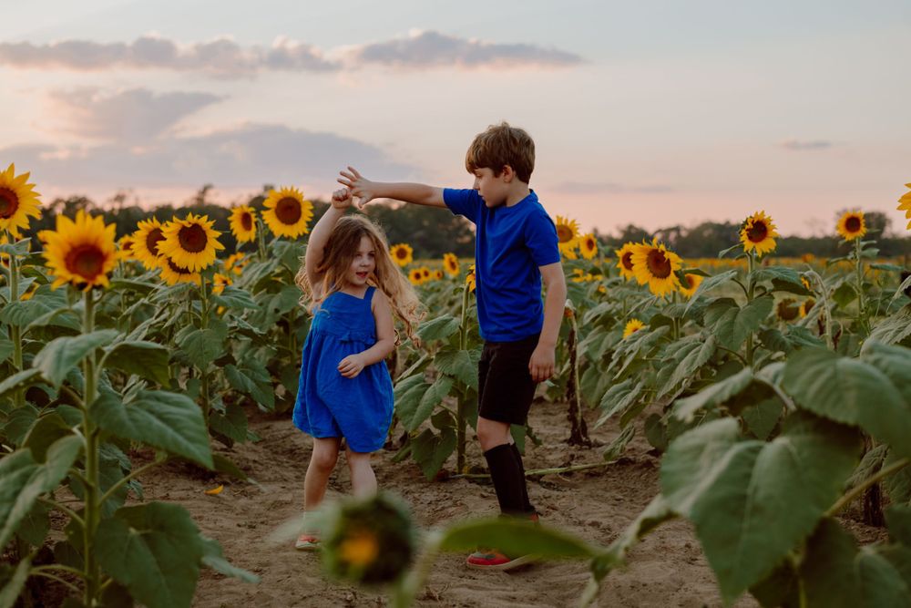 Two children playing together in a vibrant sunflower field at sunset.