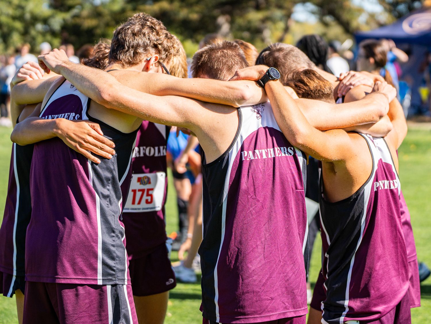 Cross country team members in purple jerseys huddle together in post-race celebration.