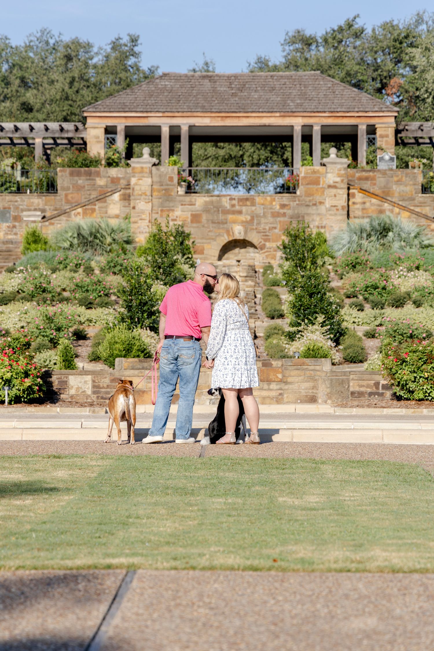 Engaged couple posing with their dogs during proposal session in Austin TX