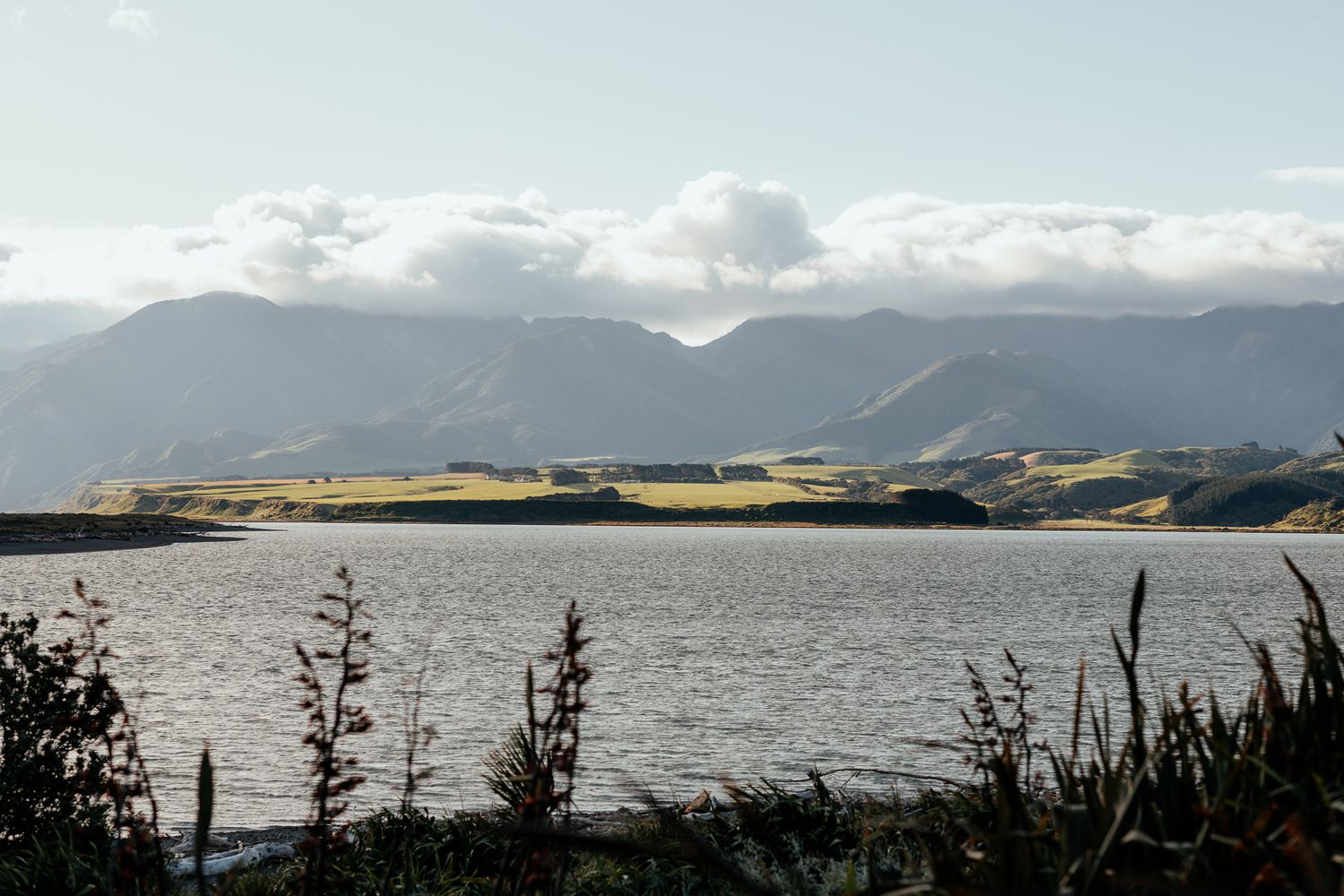 Panoramic landscape of a cloudy sky over the Tararua Ranges and Lake Ōnoke with silhouettes of plants along the shoreline by August and Vine