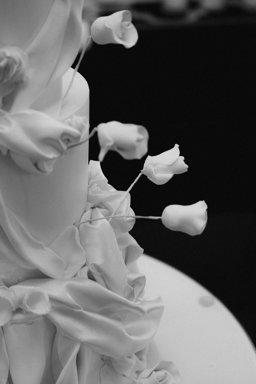 Artistic black and white macro photograph of delicate white floral petals creating soft abstract shapes against dark background.