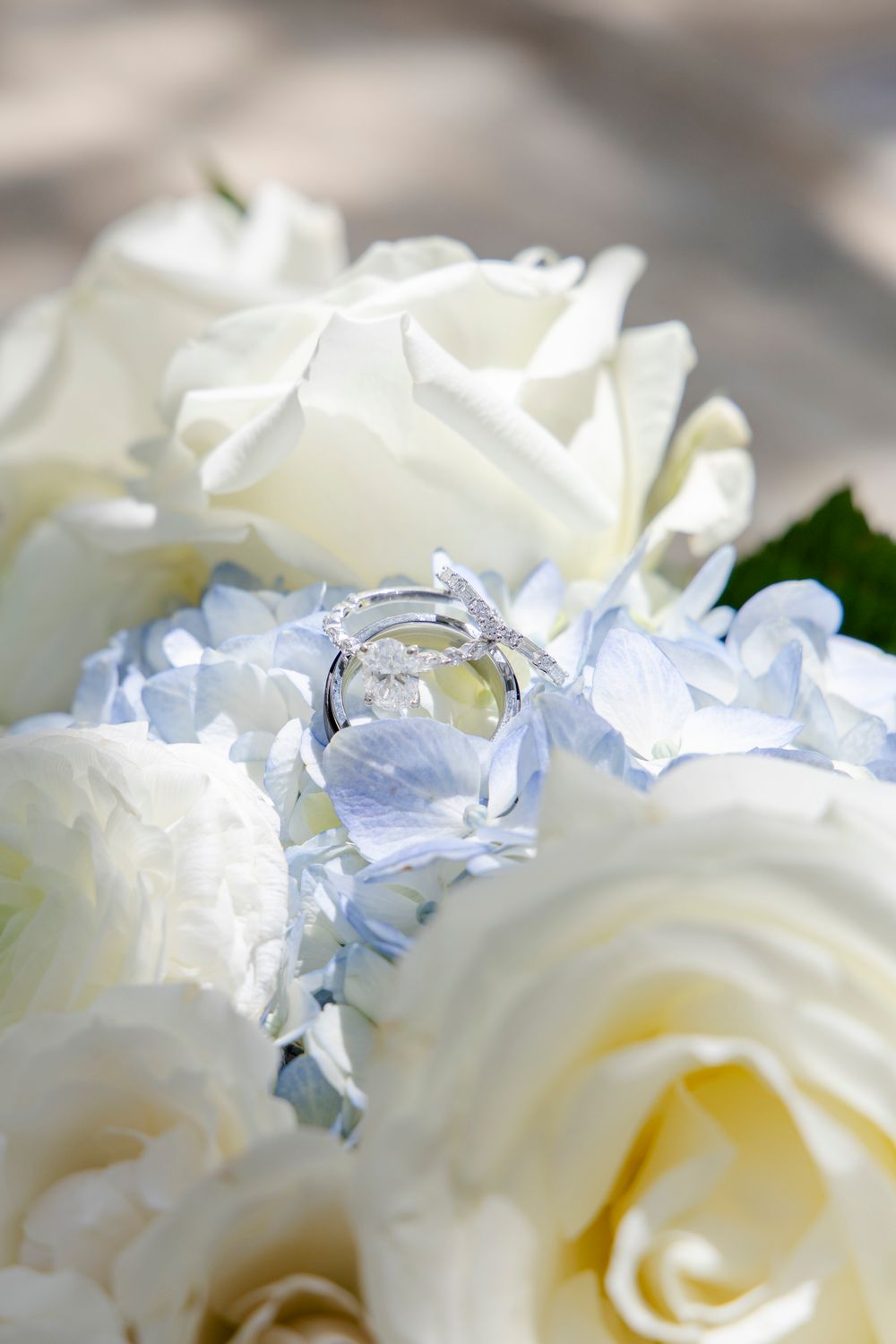 Detail photo of bride and groom rings on florals captured by Chloe Storm Photo.
