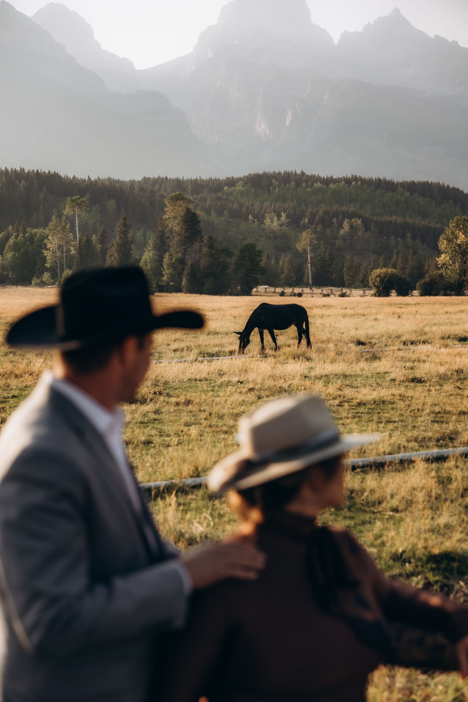 A serene landscape with horses grazing in a mountain meadow at sunset while people watch from a wooden fence.