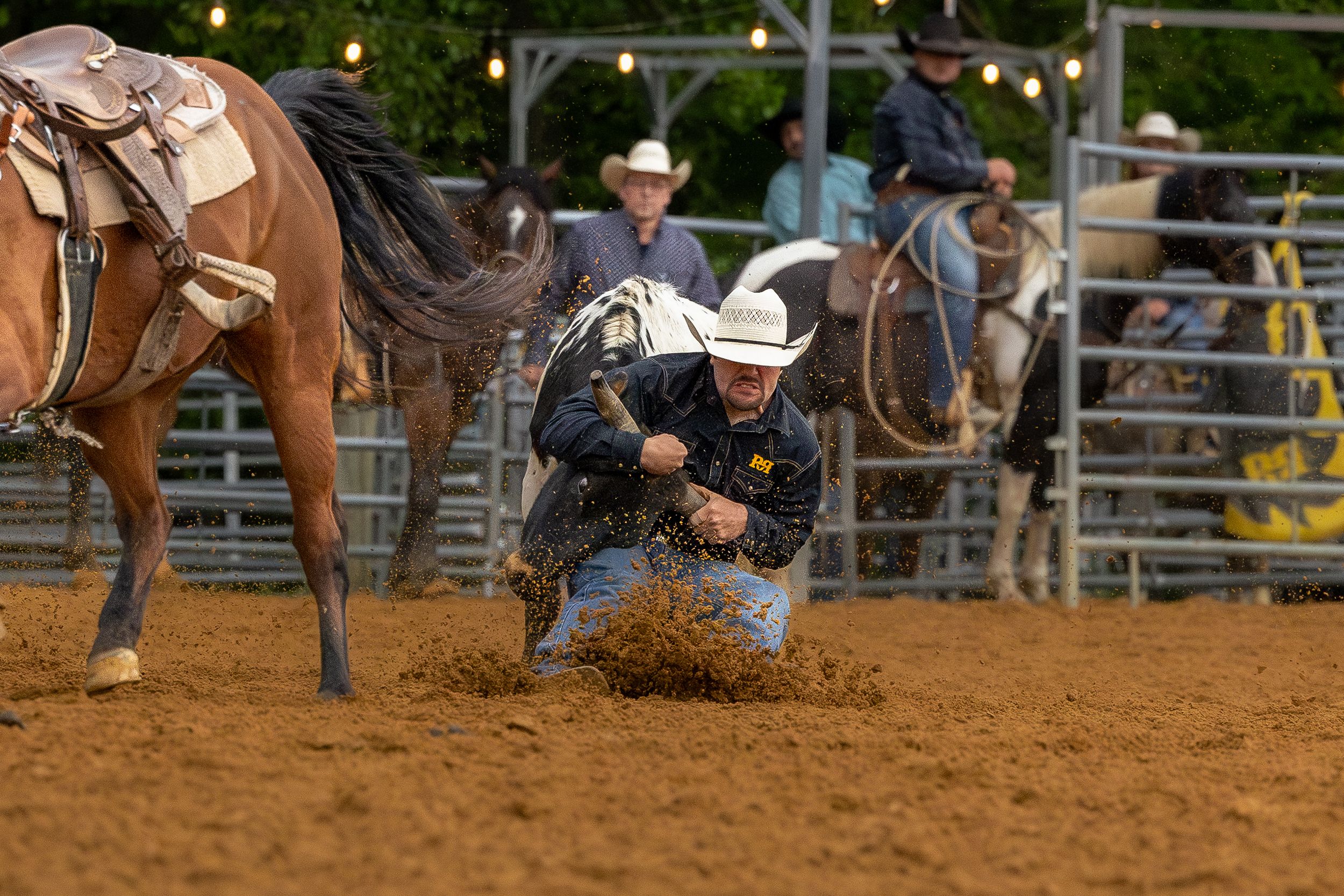 Steer Wrestling