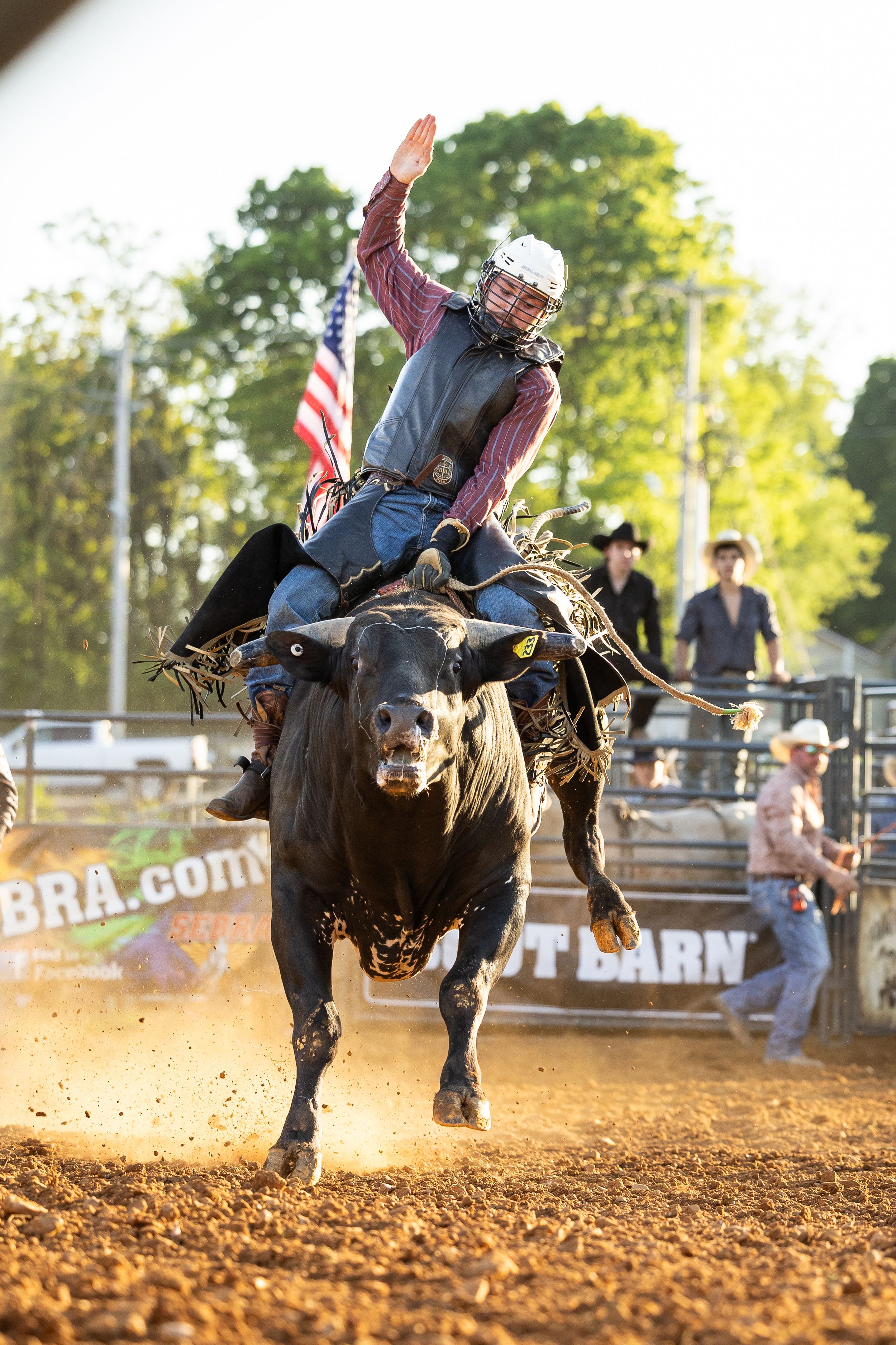 Bull Riding