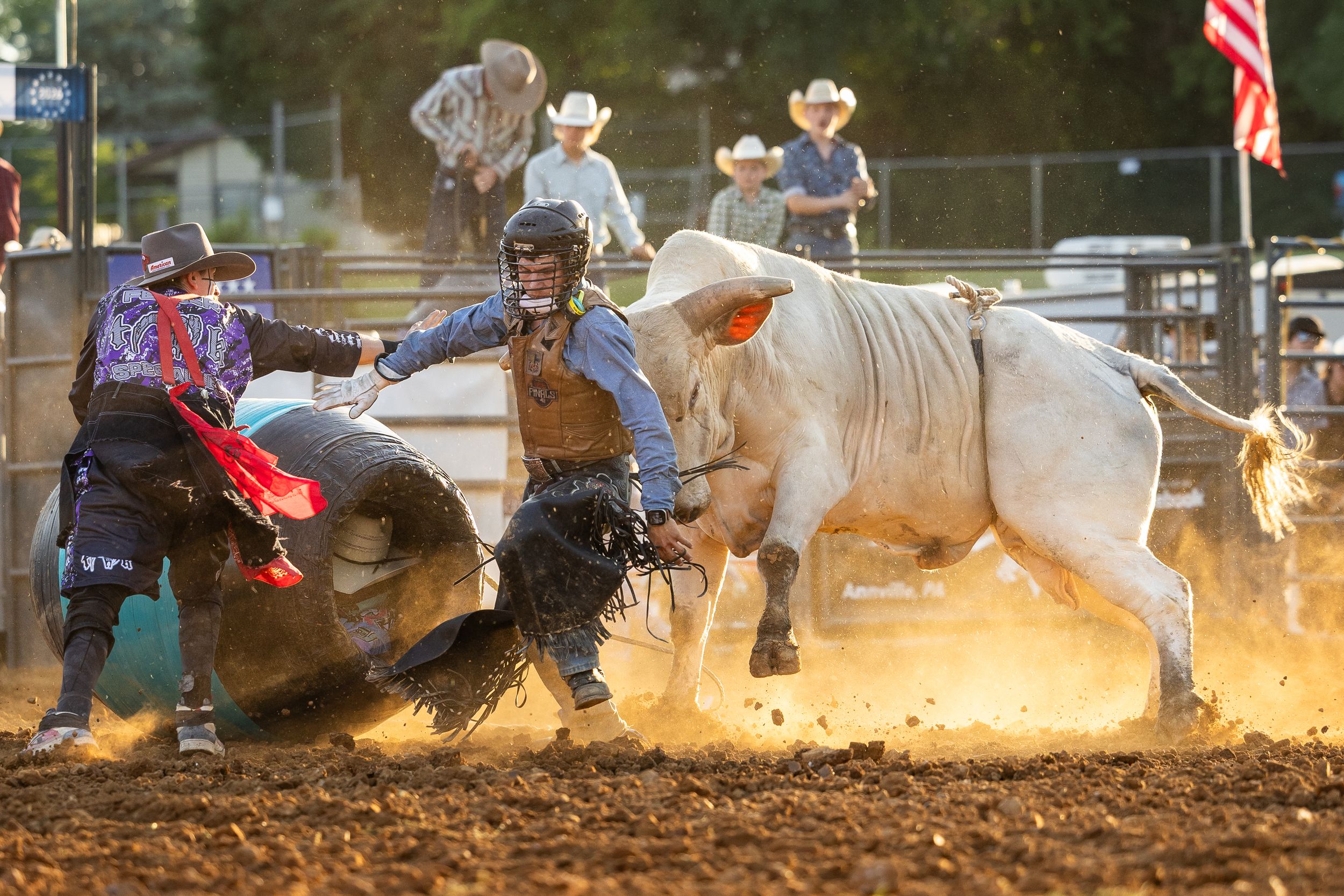 Getting chased by a bull
