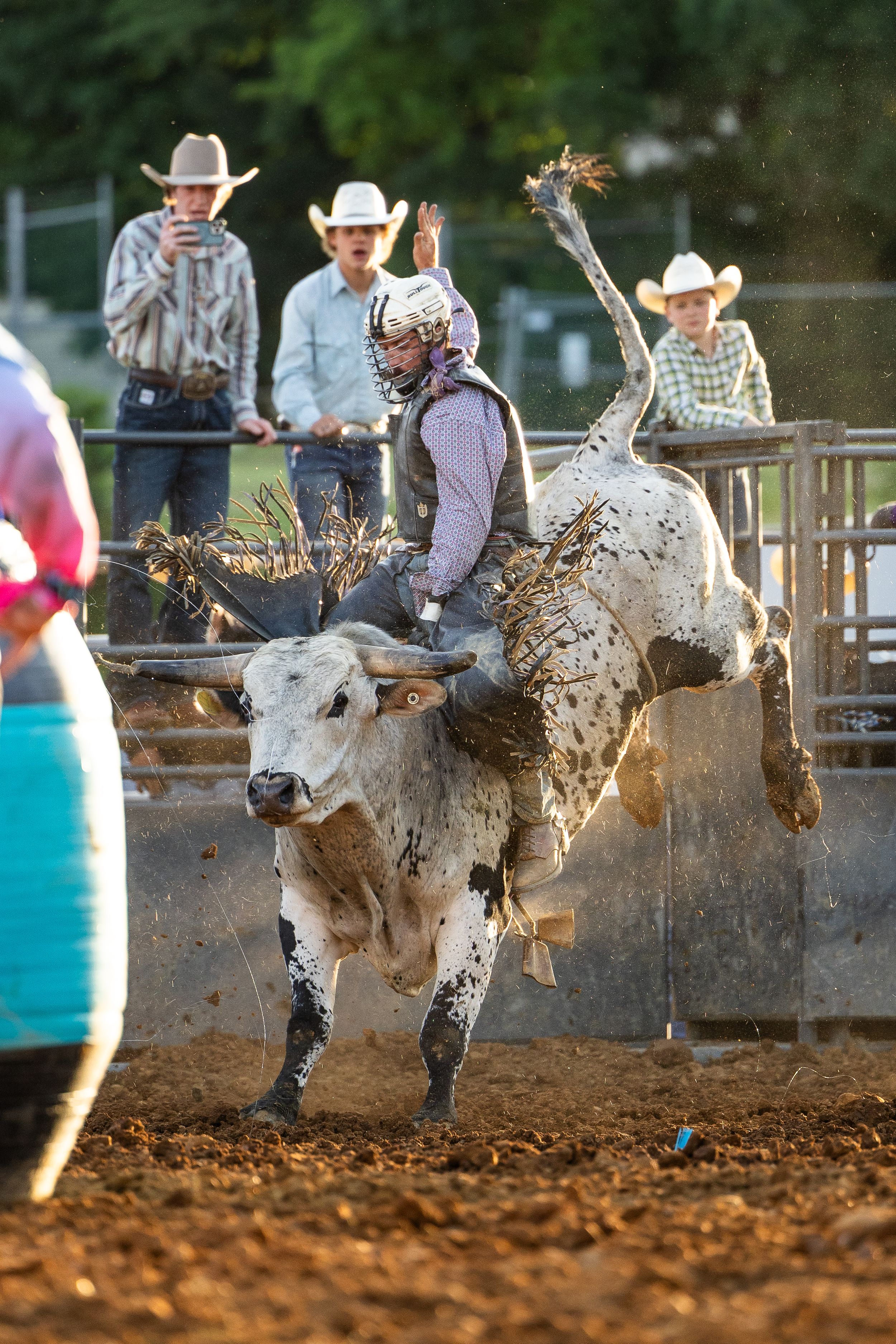Bull Riding