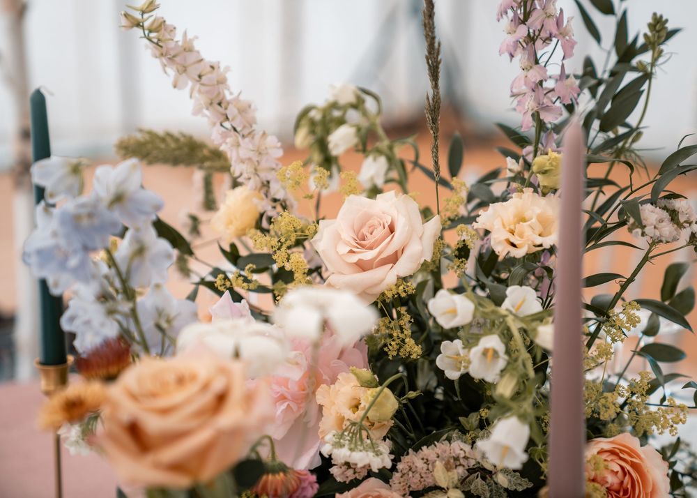SUFFOLK WEDDING PHOTOGRAPHY - MARQUEE GARDEN WEDDING SUFFOLK - DOCUMENTARY WEDDING PHOTOGRAPHY