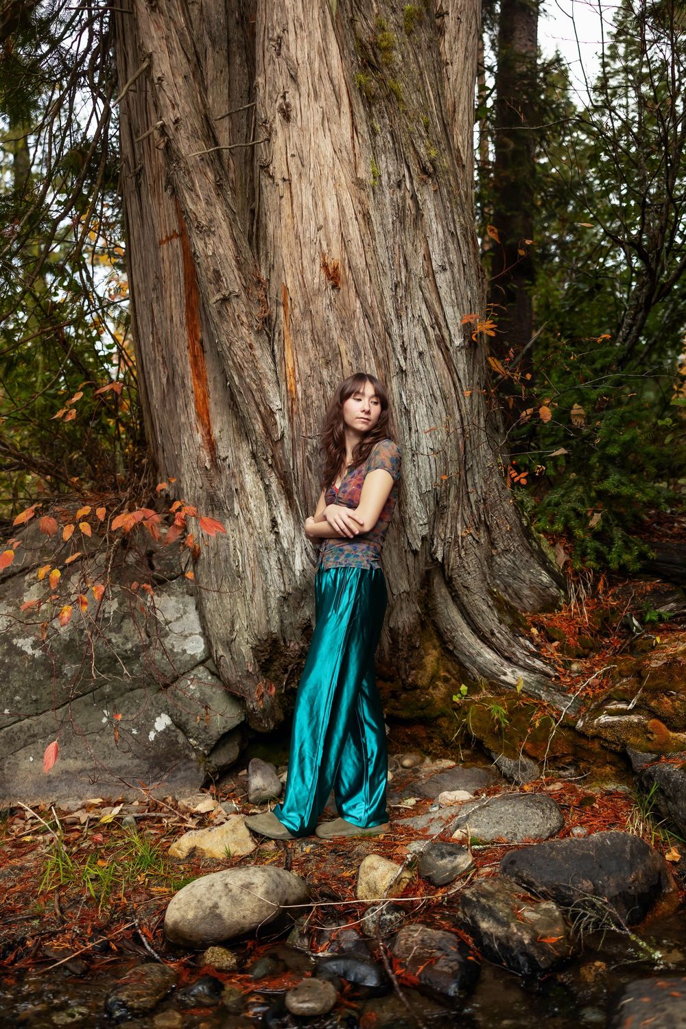 Portrait session against a large tree trunk with autumn foliage and a teal flowing dress.
